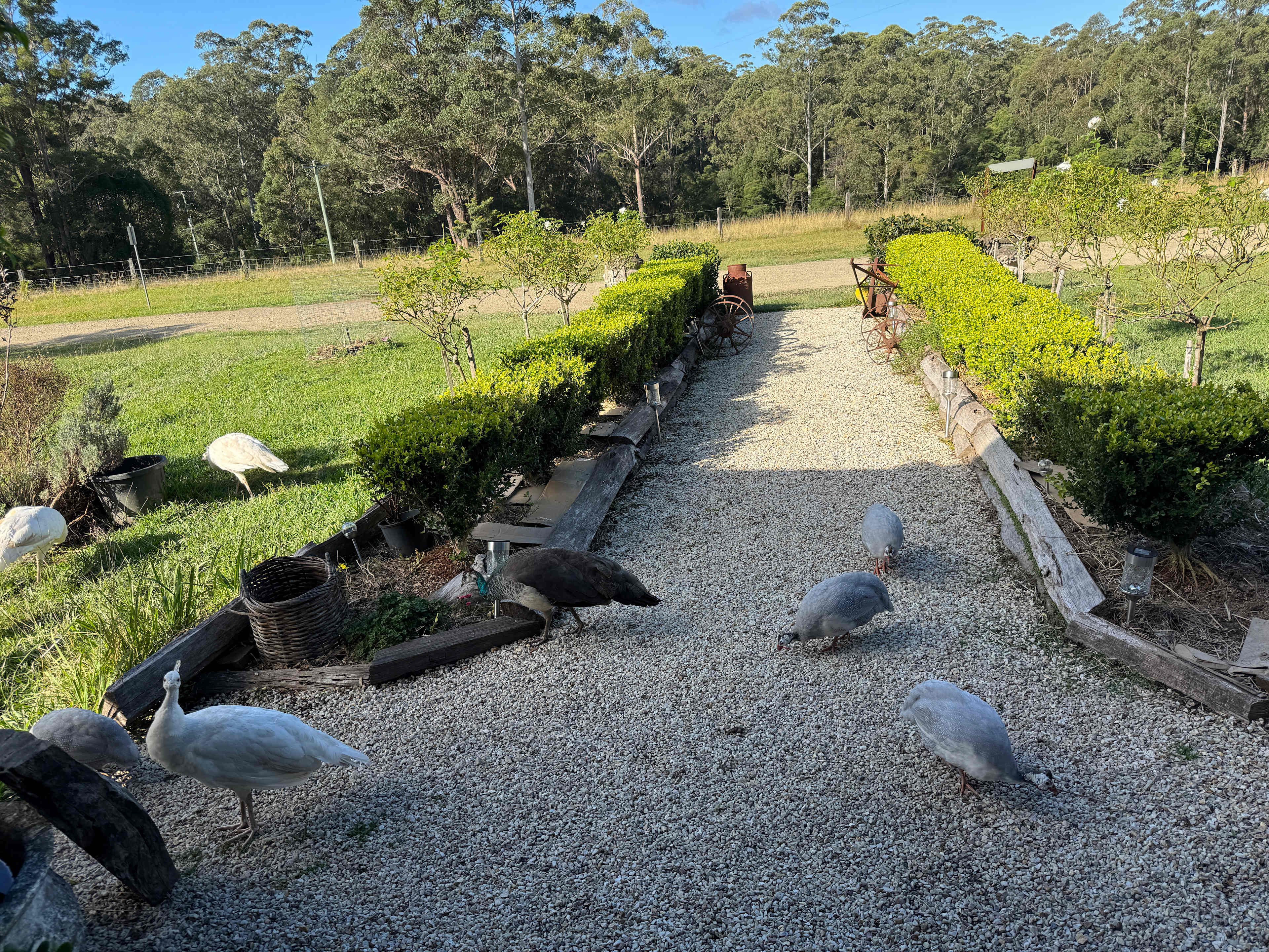 Coffs Harbour Camping & Farmstay