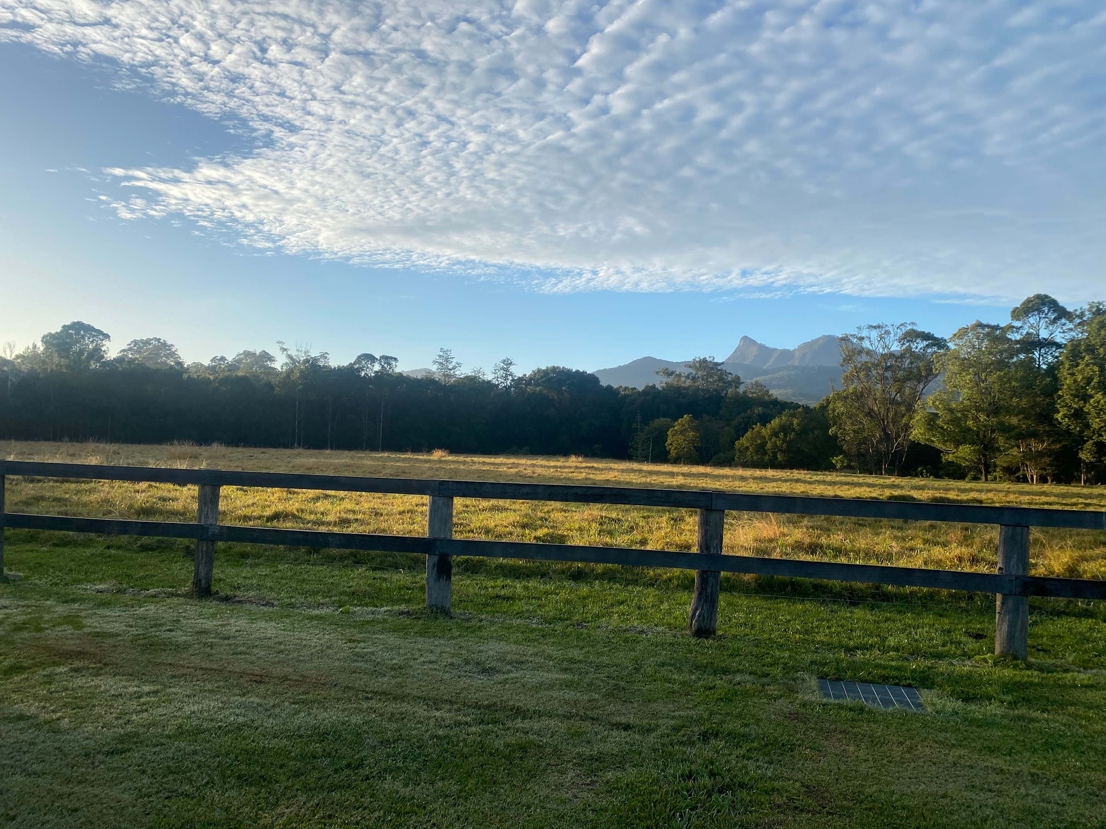 Tyalgum Showground