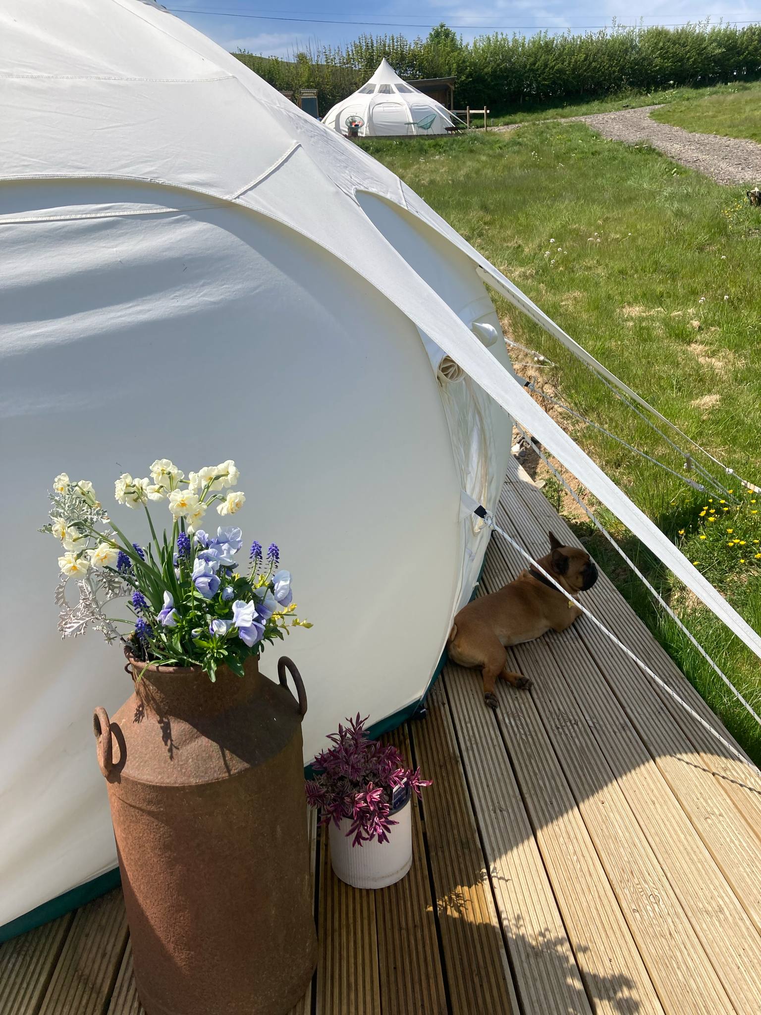 Dan Y Ser Glamping Under The Stars