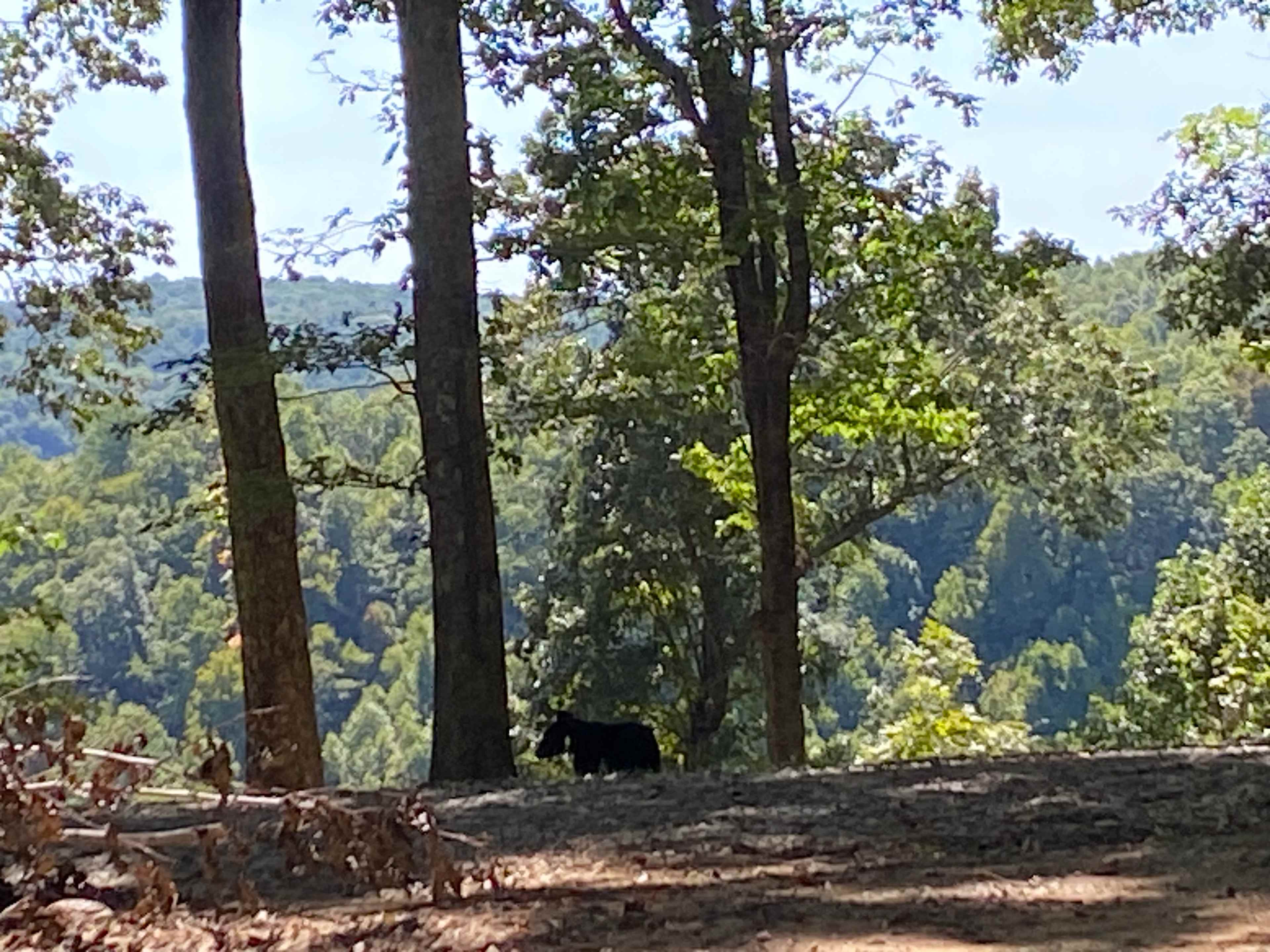 24 On The Mountain