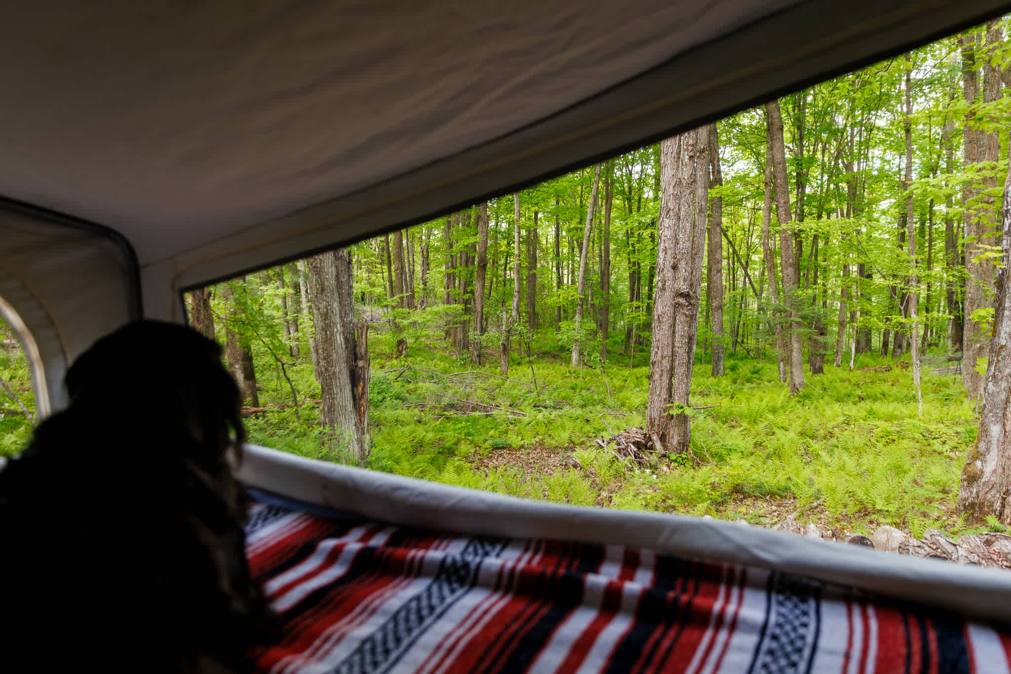 Vantage point from our pop-up camper