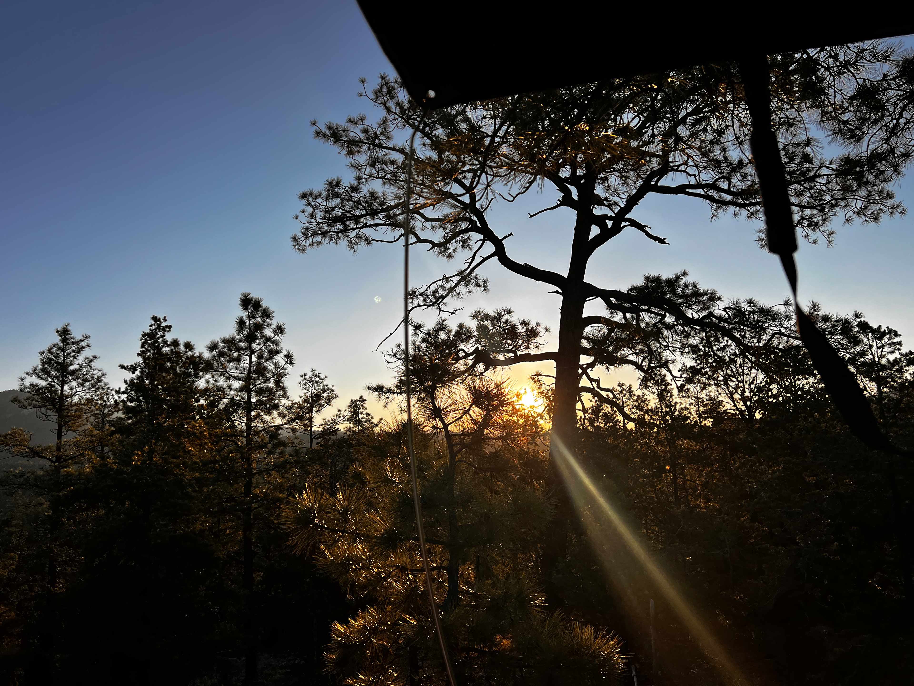 Santa Fe Treehouse Camp