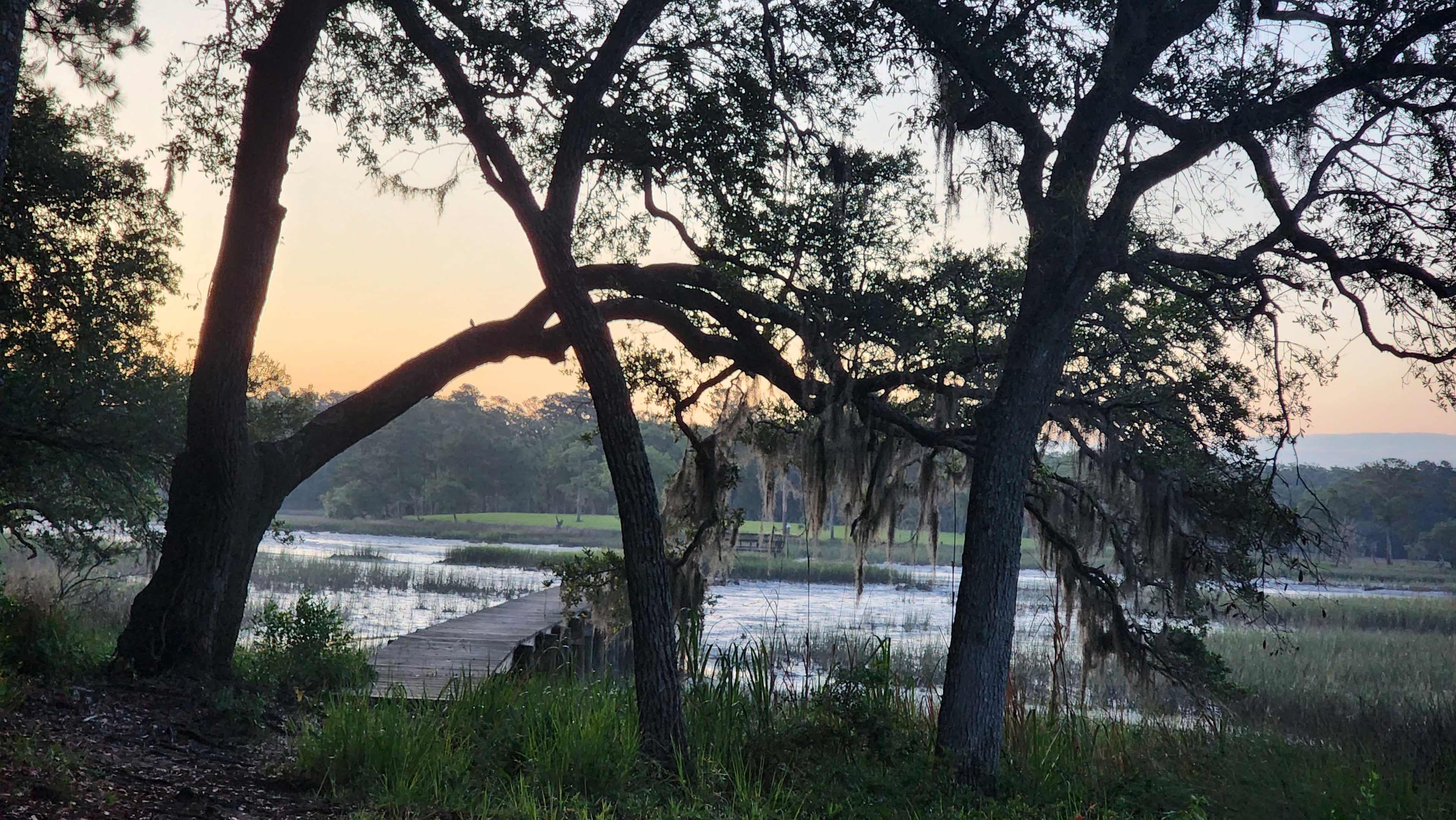 Camp on the Creek
