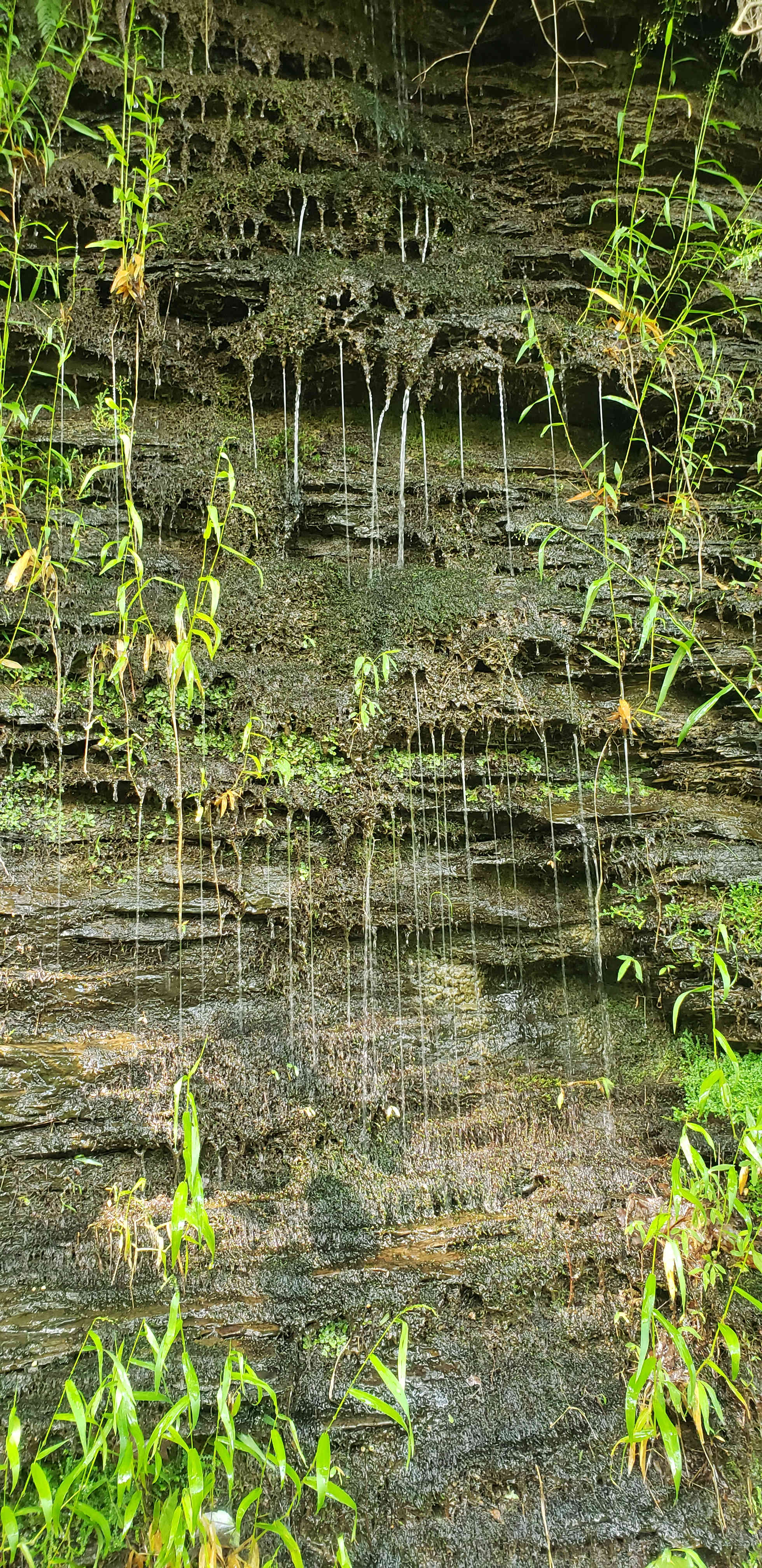 Batesville Mountain Campground