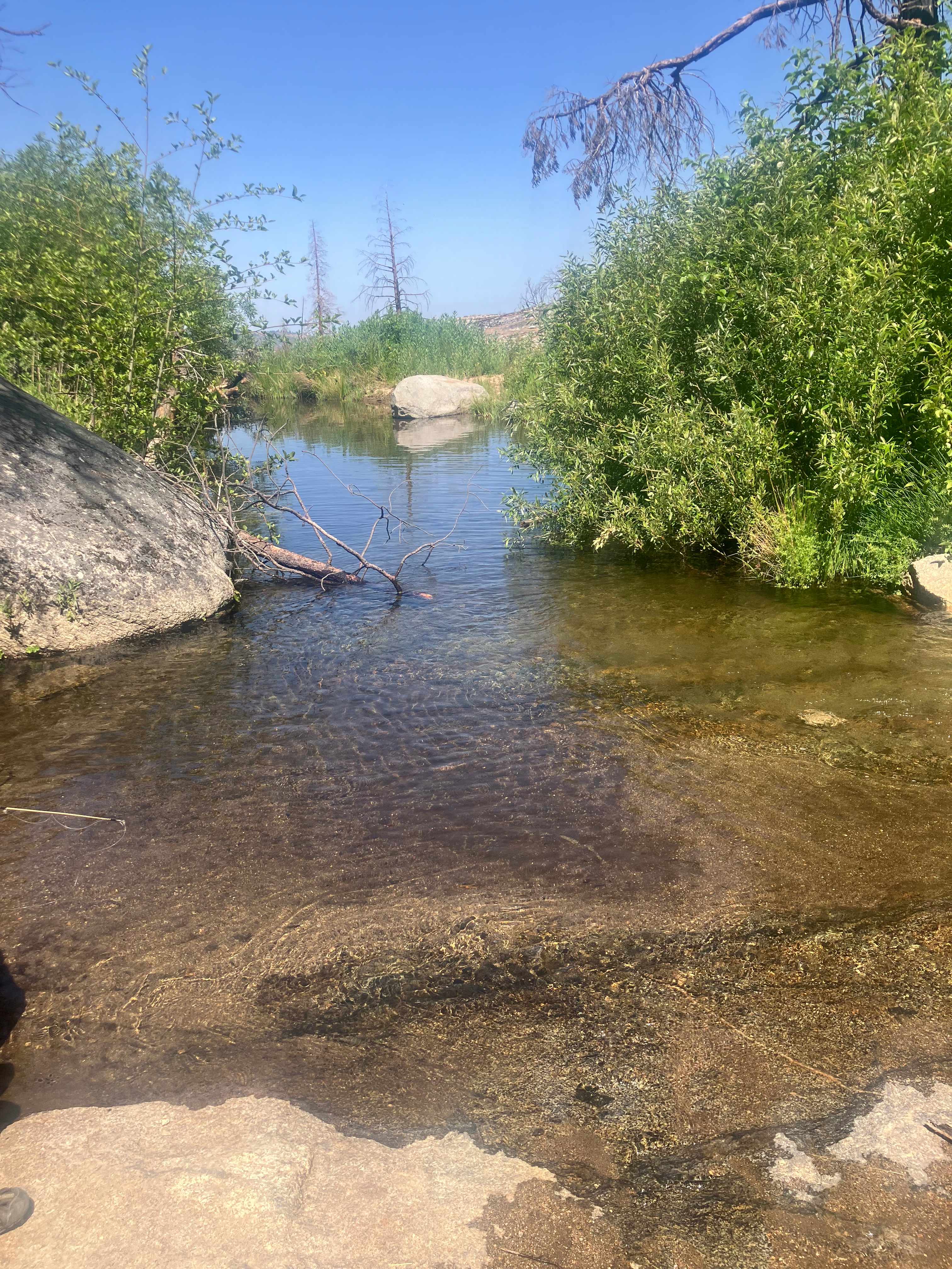 Down the creek