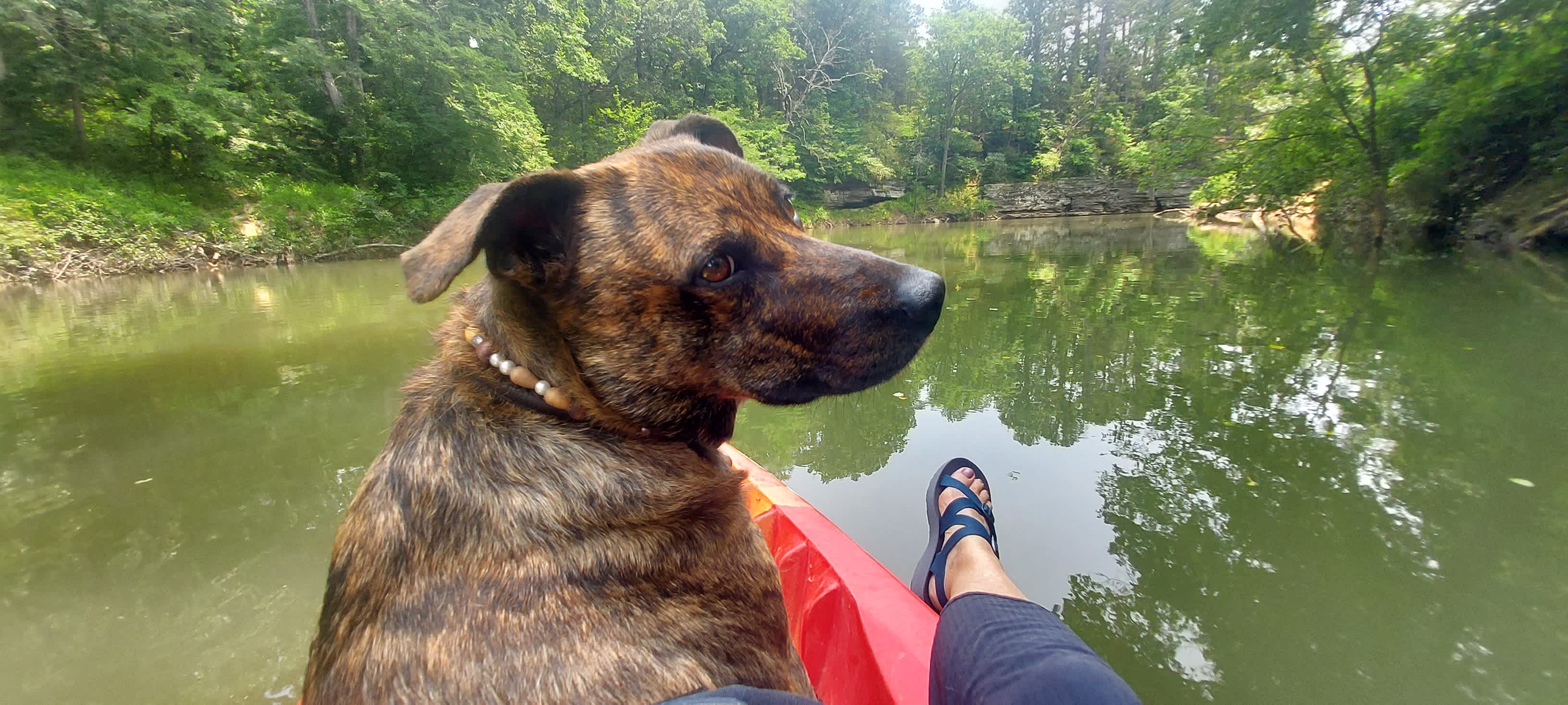 First time paddling!