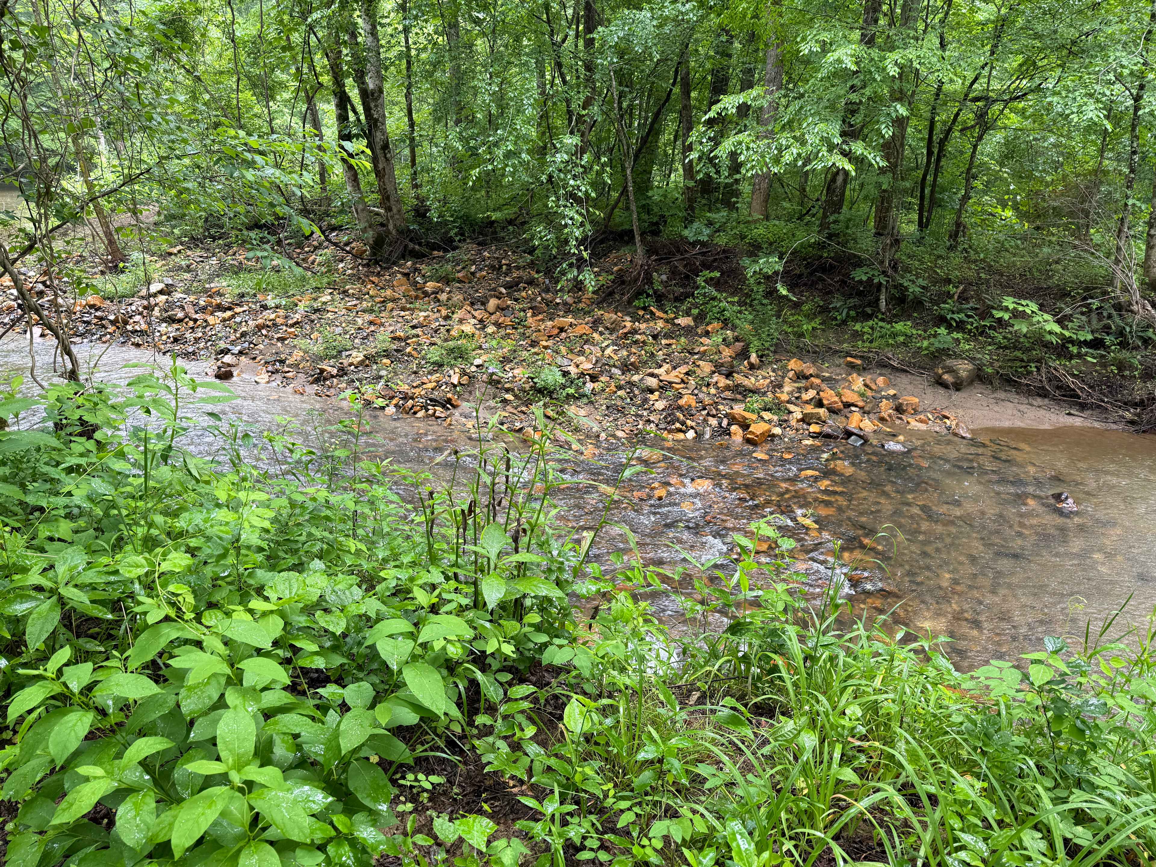 TangleWood Creekside Campsites