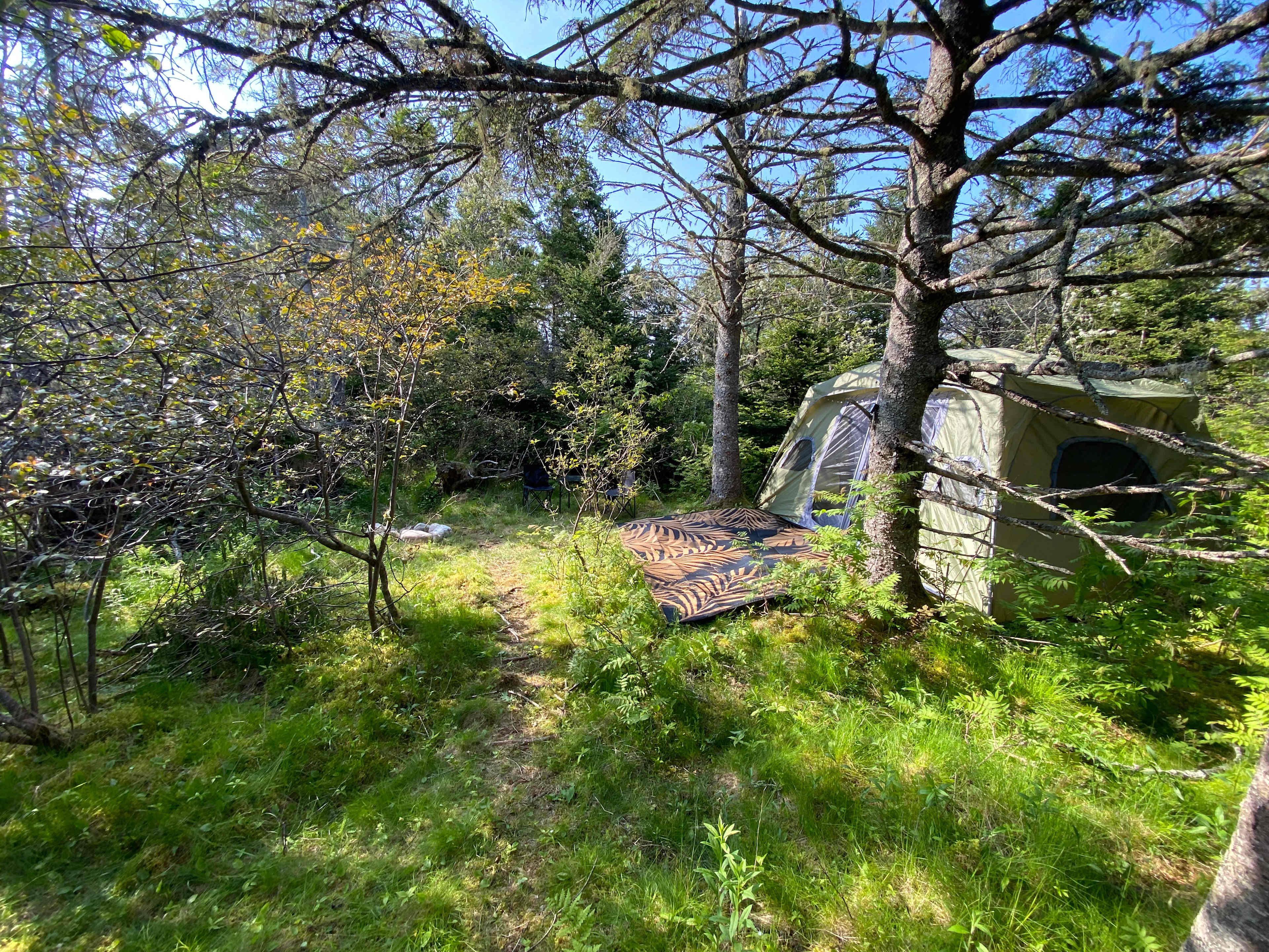 Picture of the site