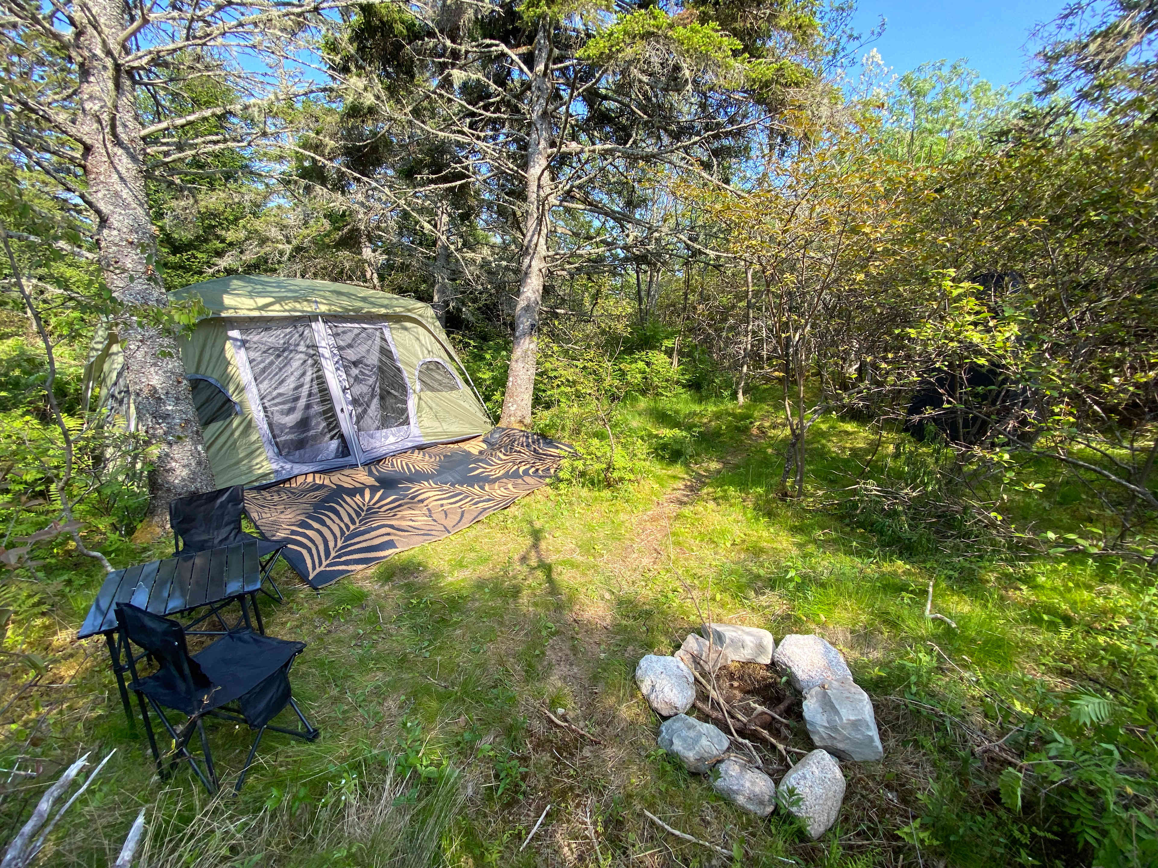 Picture of the site