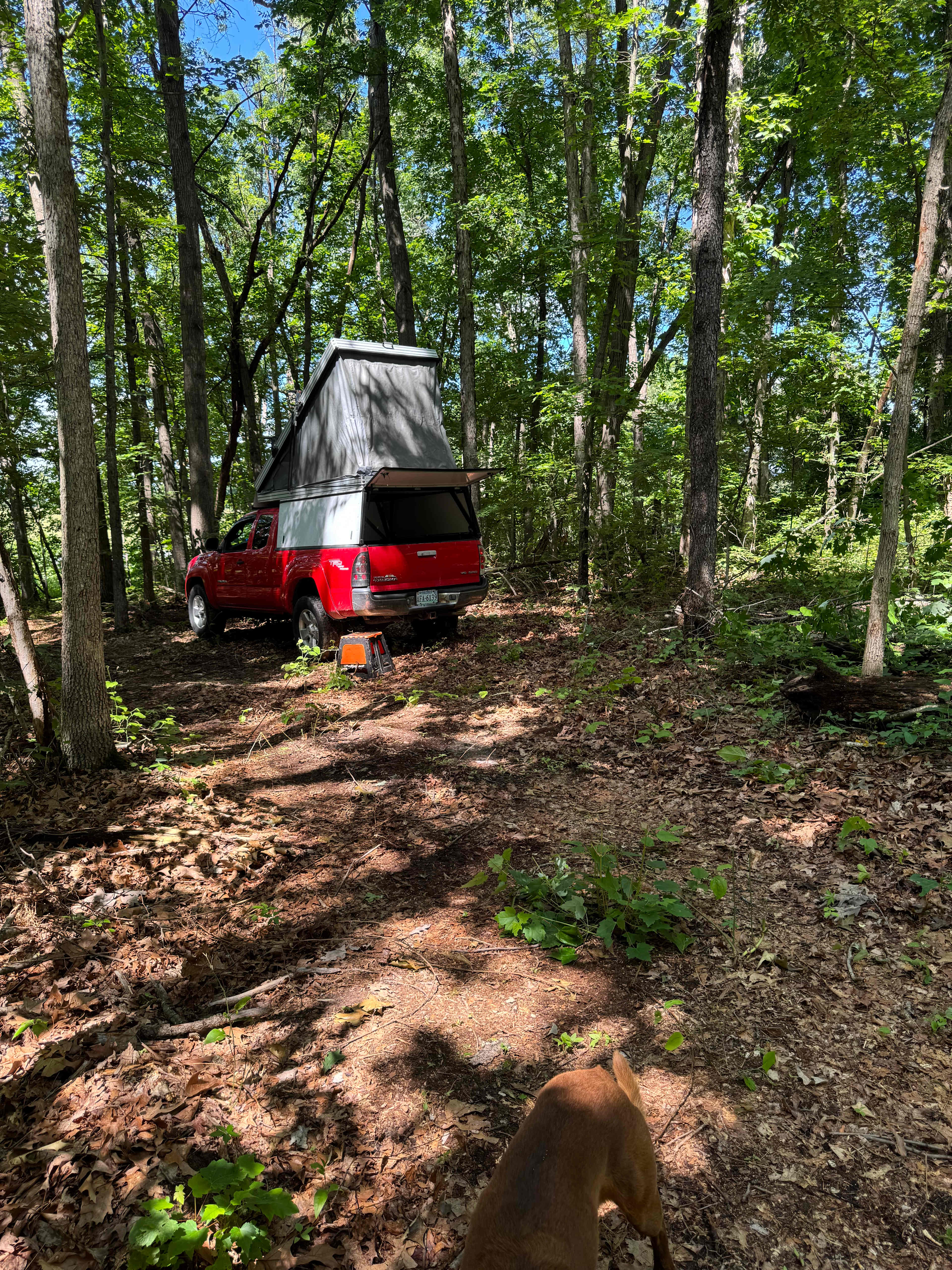 Road Runner Base Camp