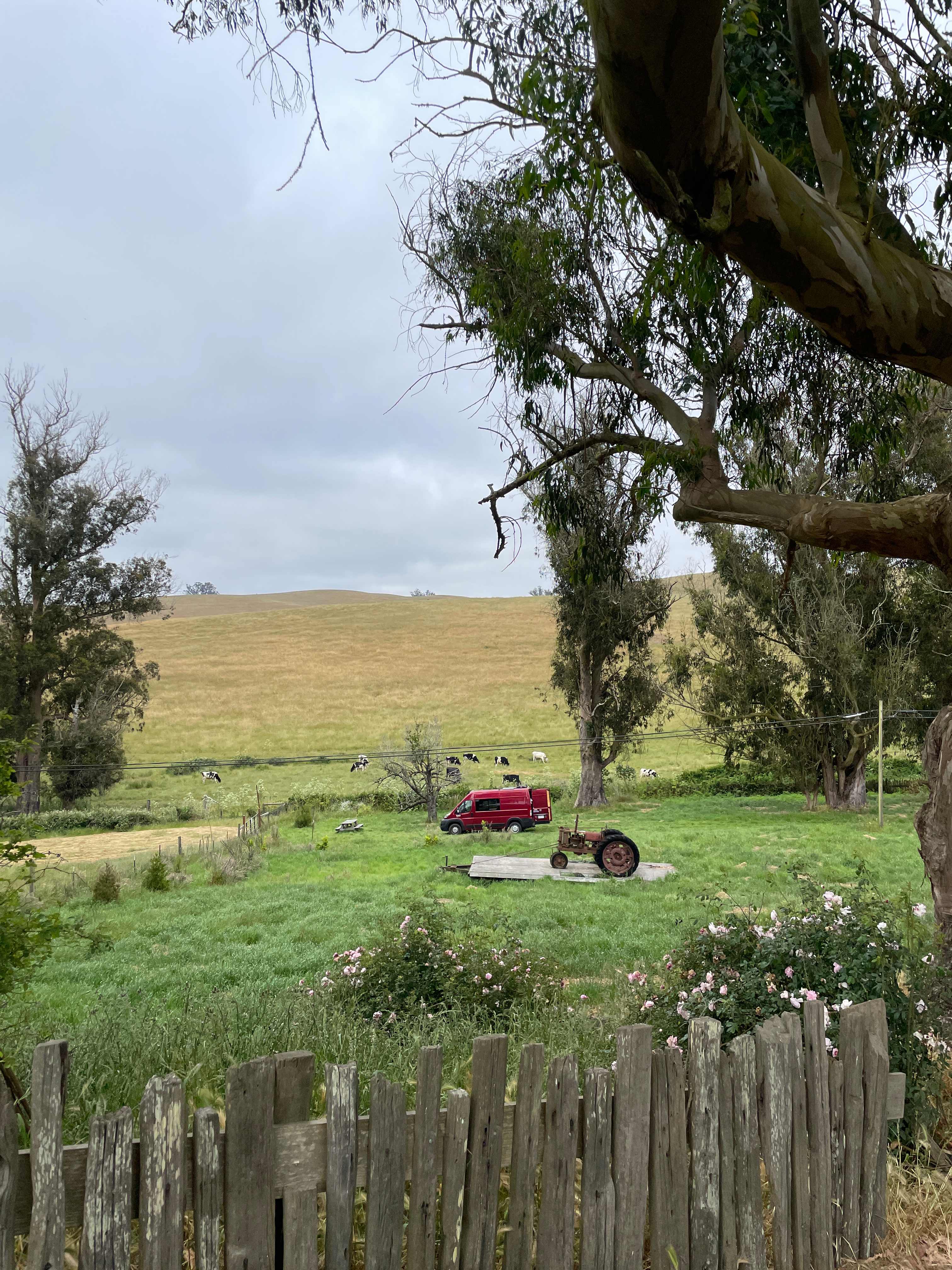 The Meadow Grove of Hands Full Farm