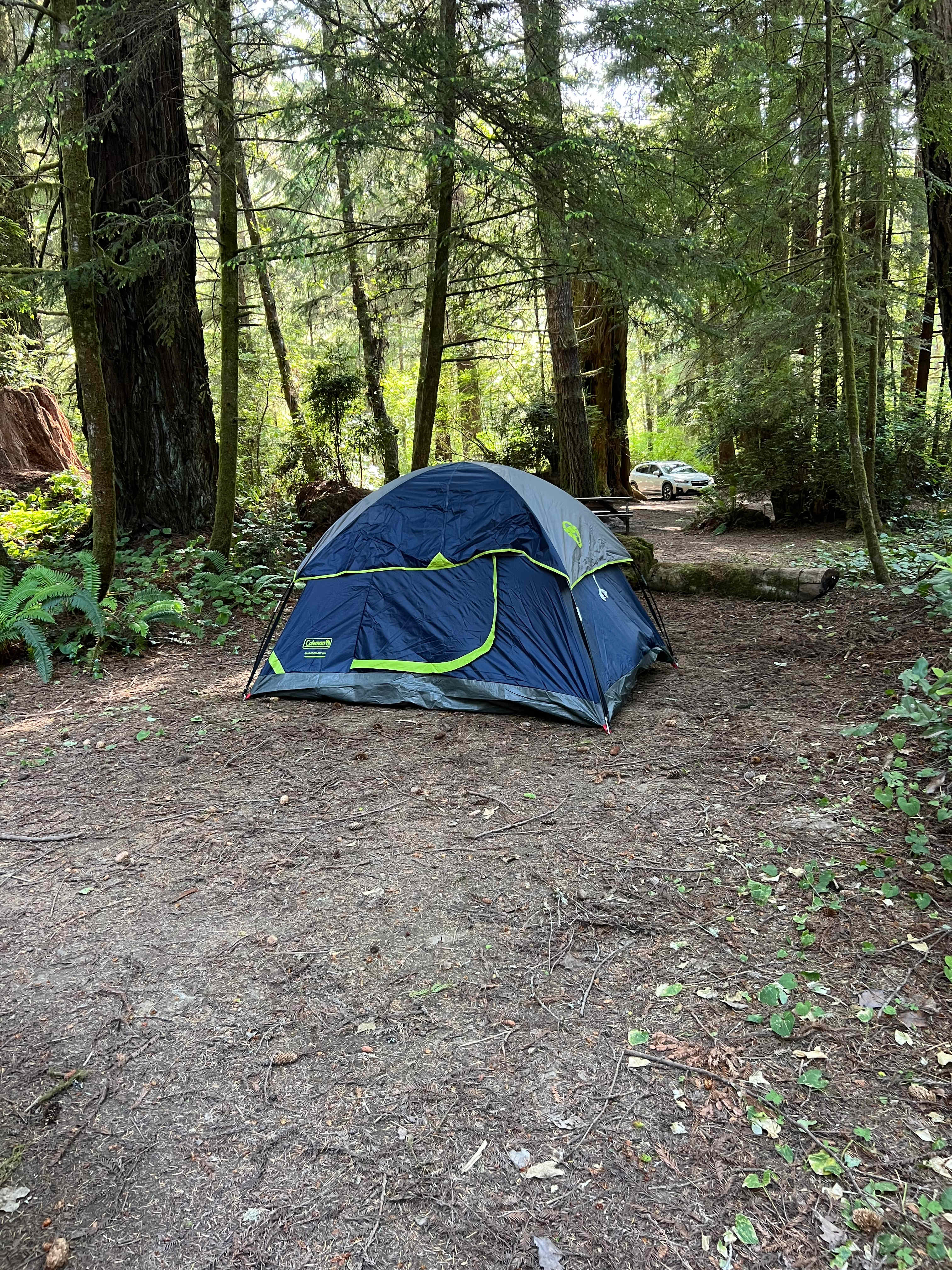 Mystic Forest Campground