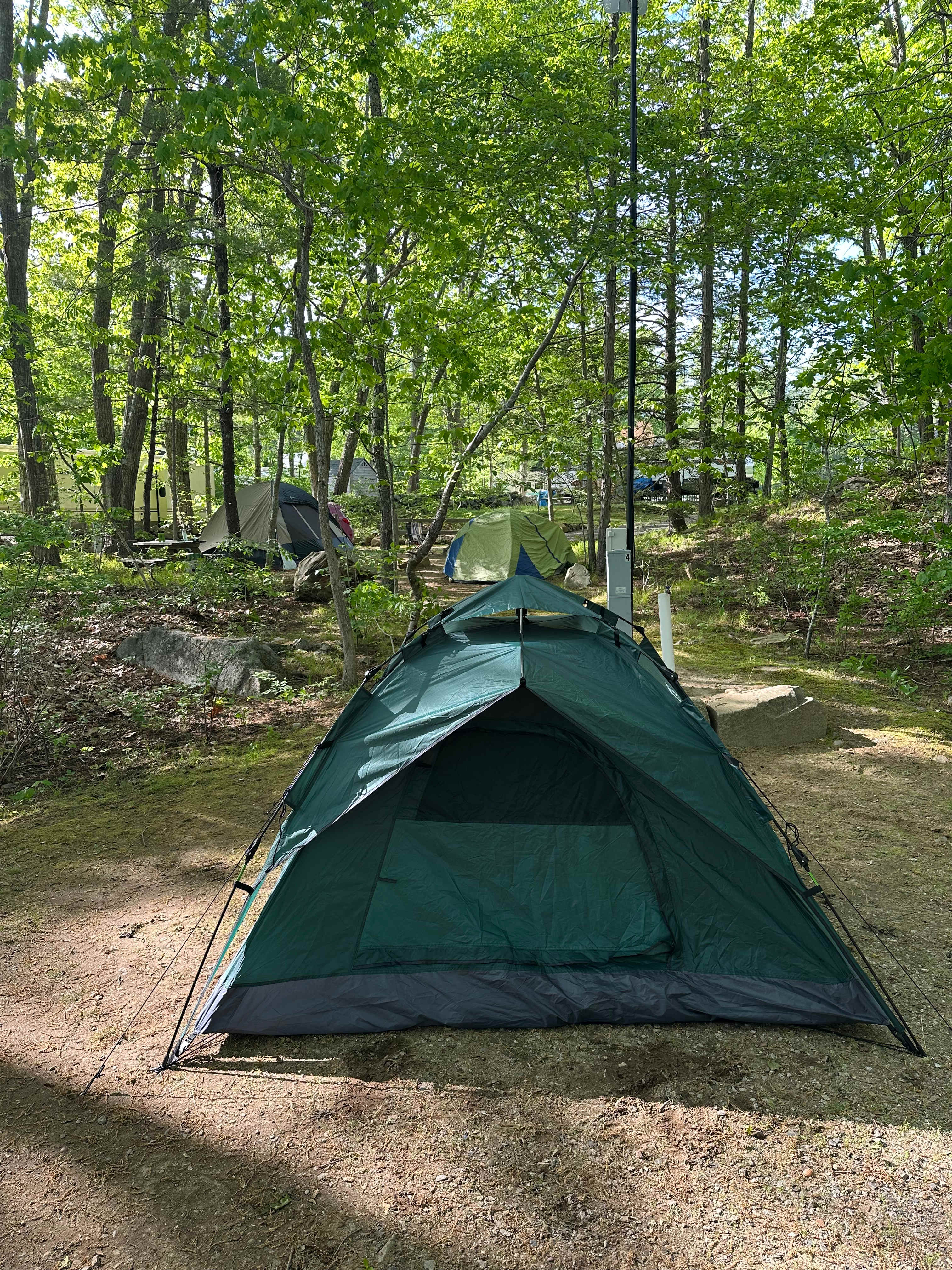 Picture of the site