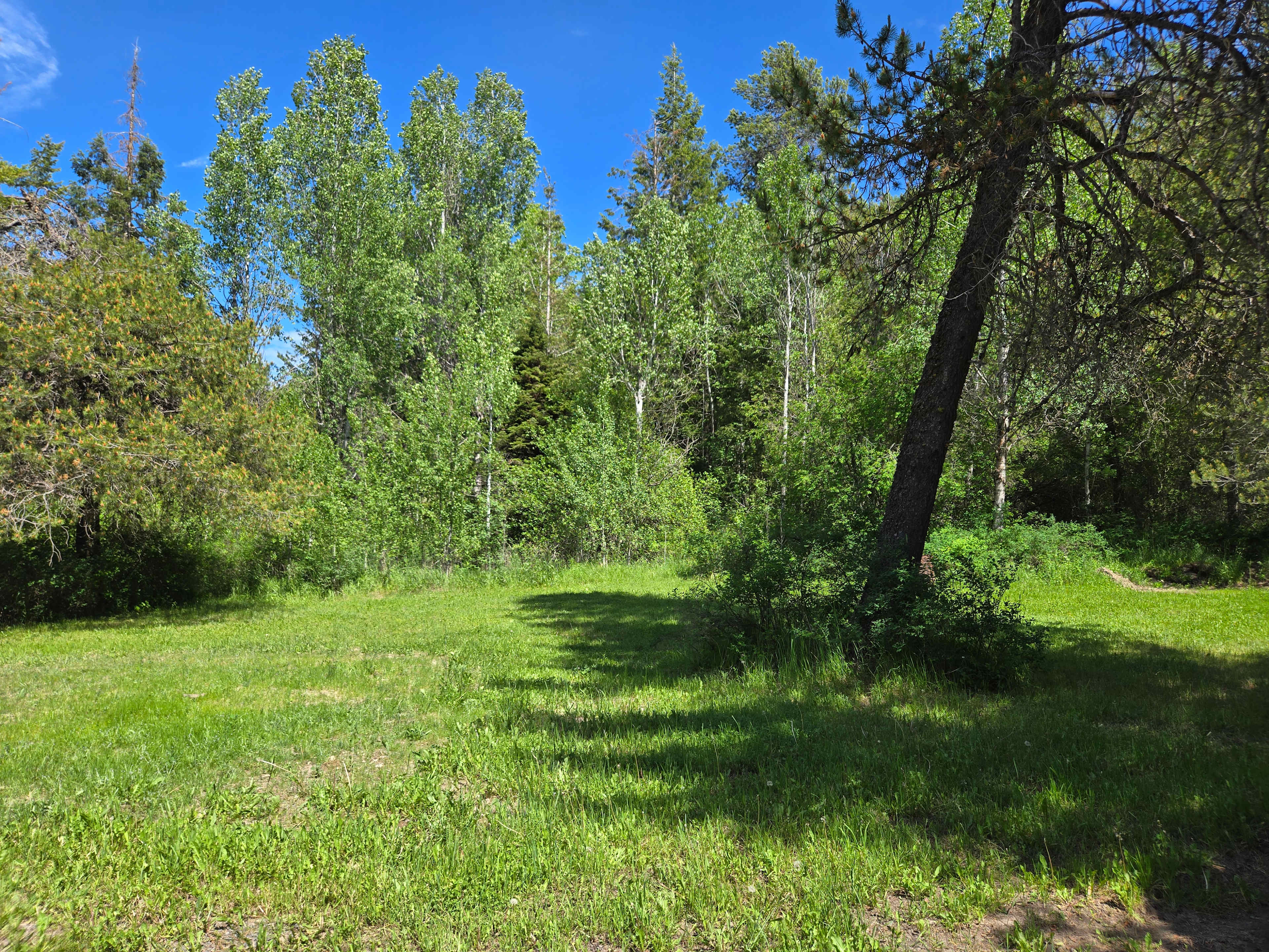 Cardwell Spur