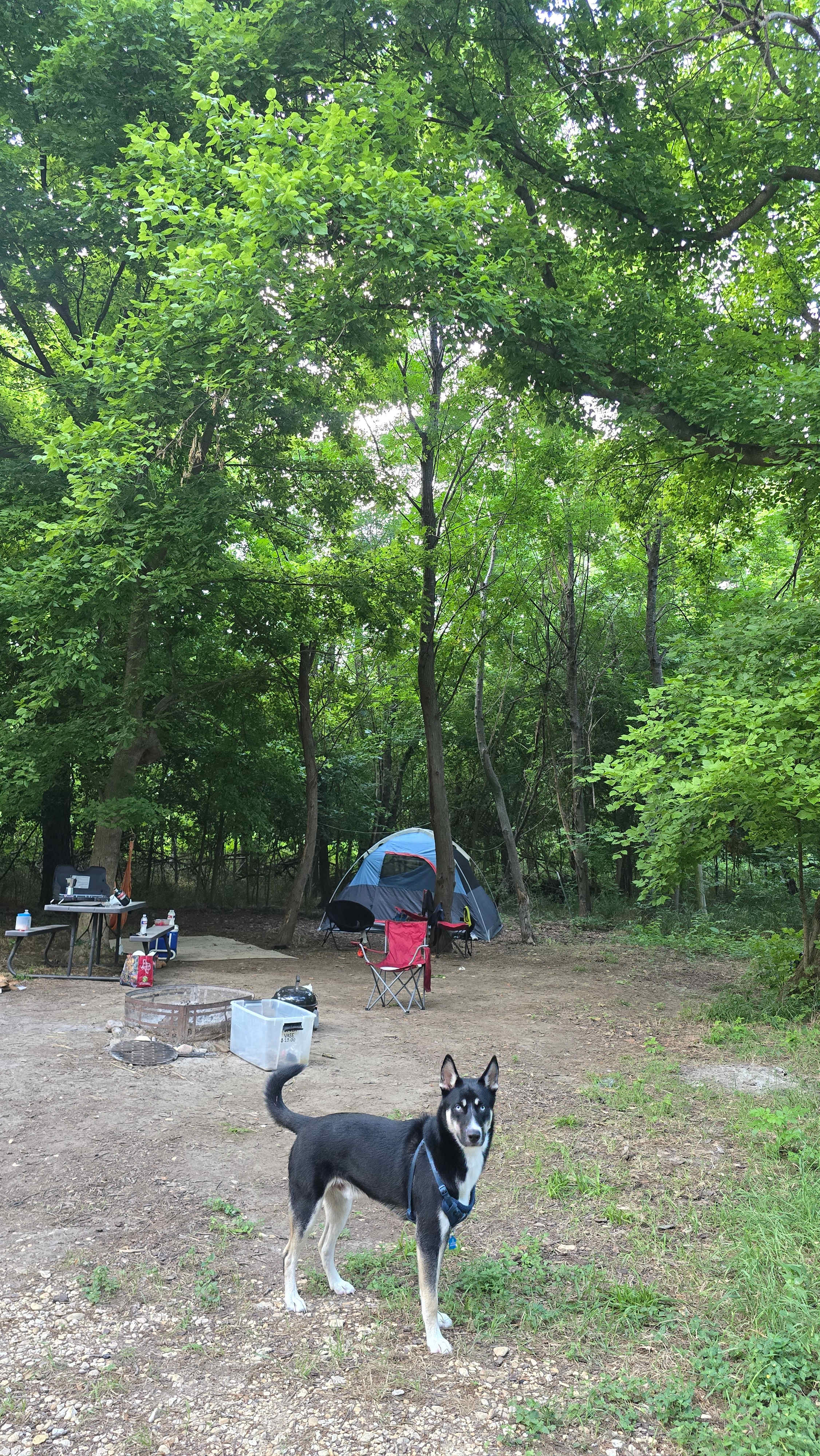 P² Farm | Scenic River Camping