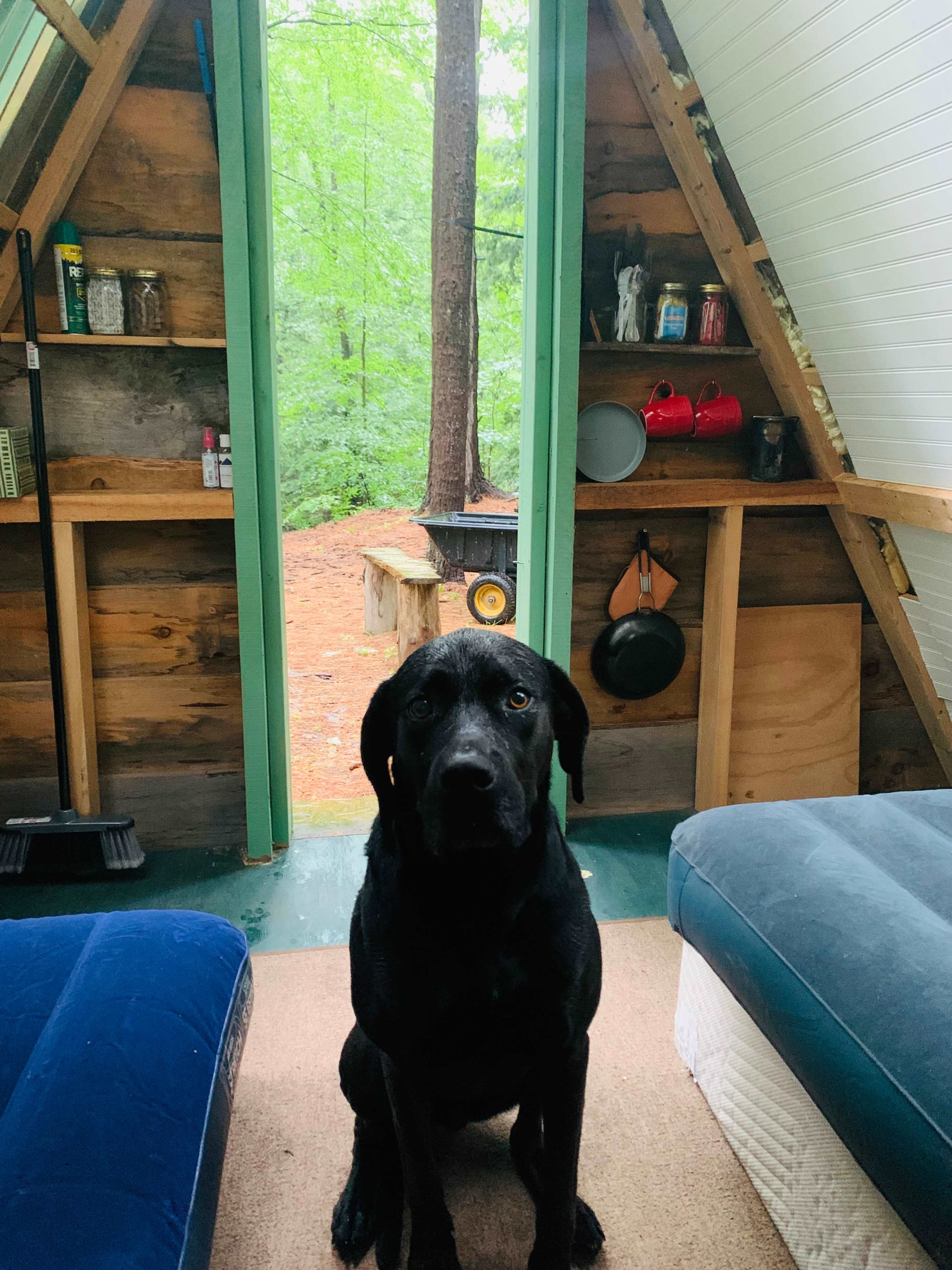 Pine Brook Retreat