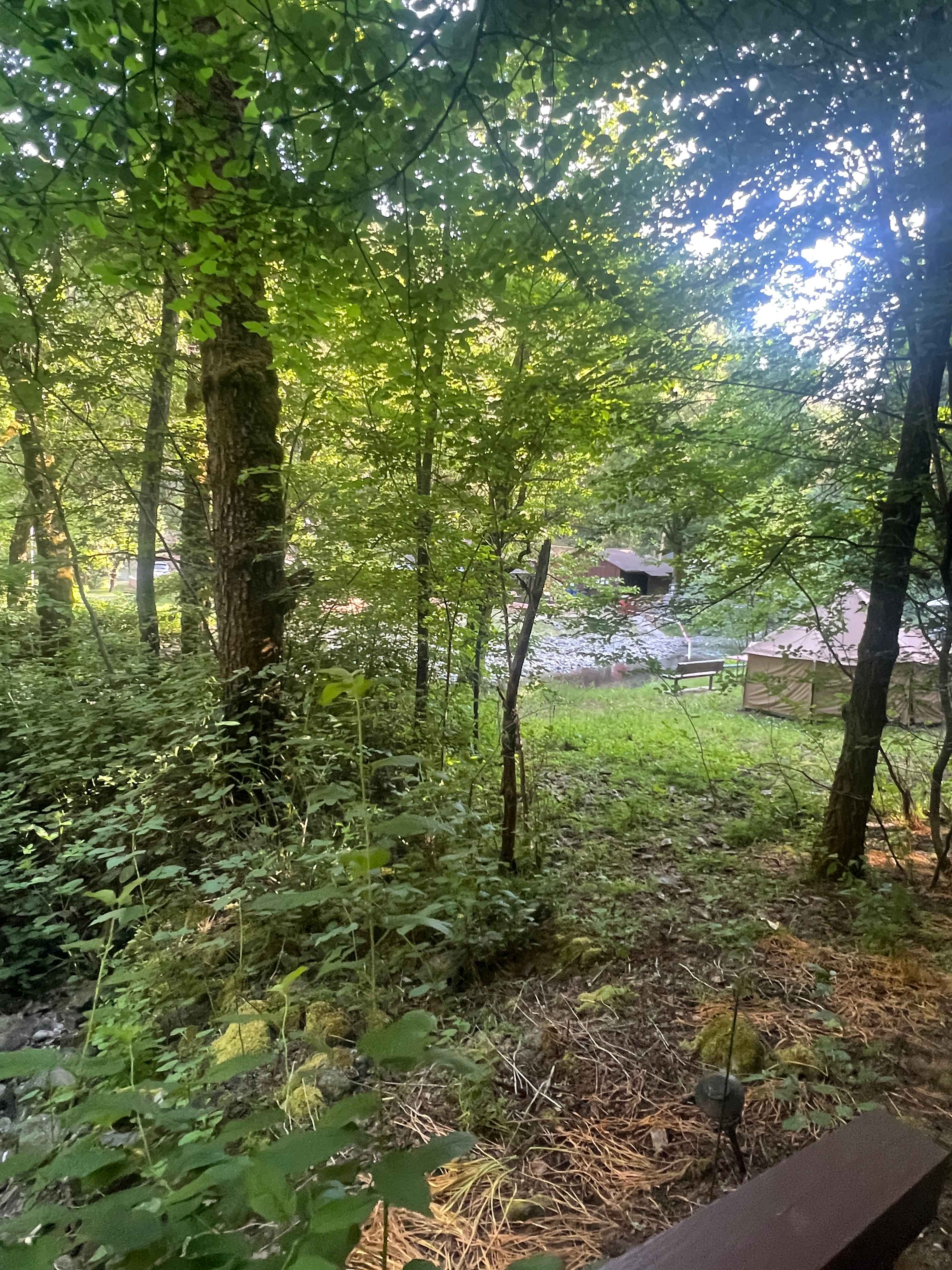 Camp Nauvoo