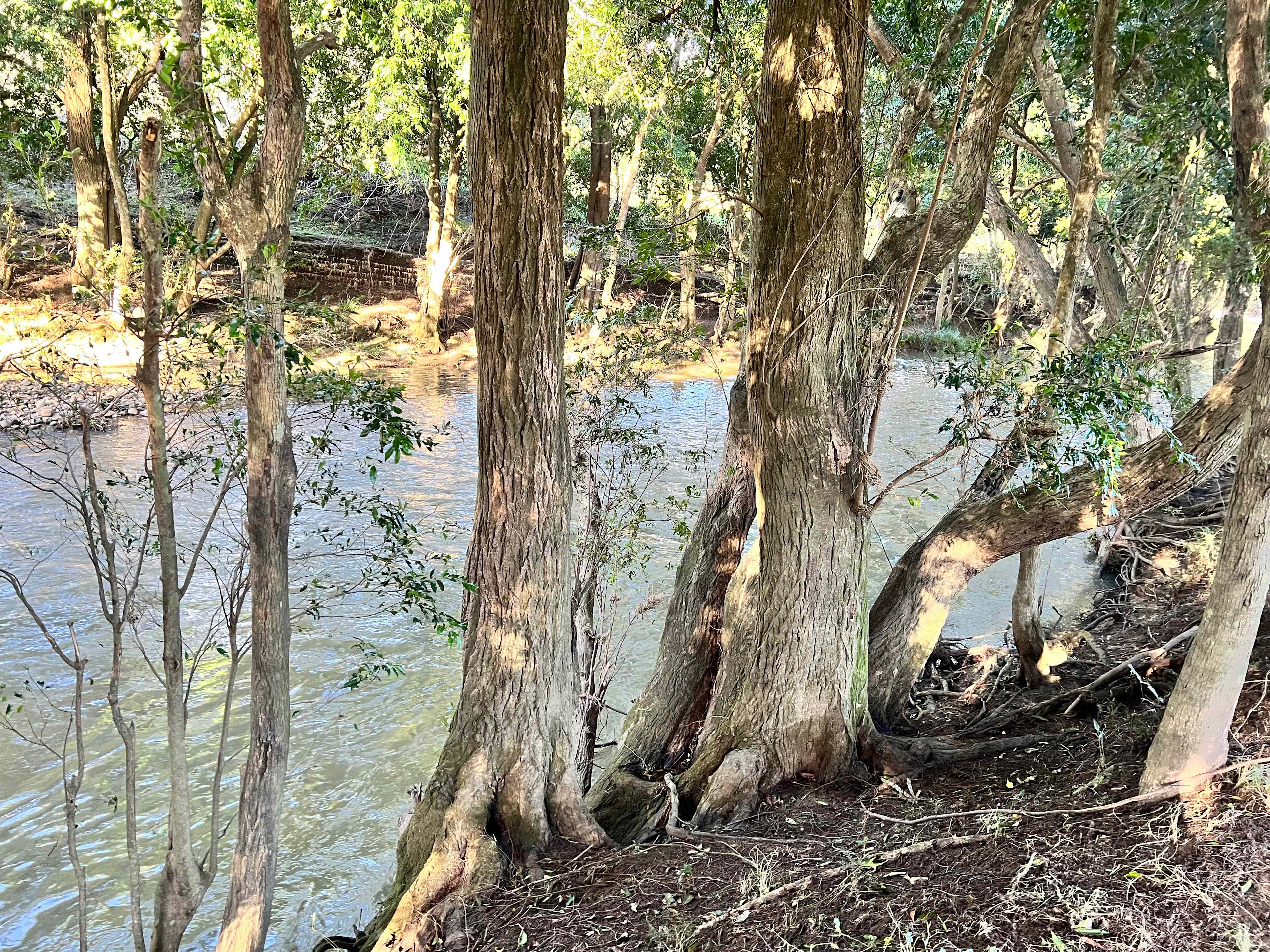 Willowbank