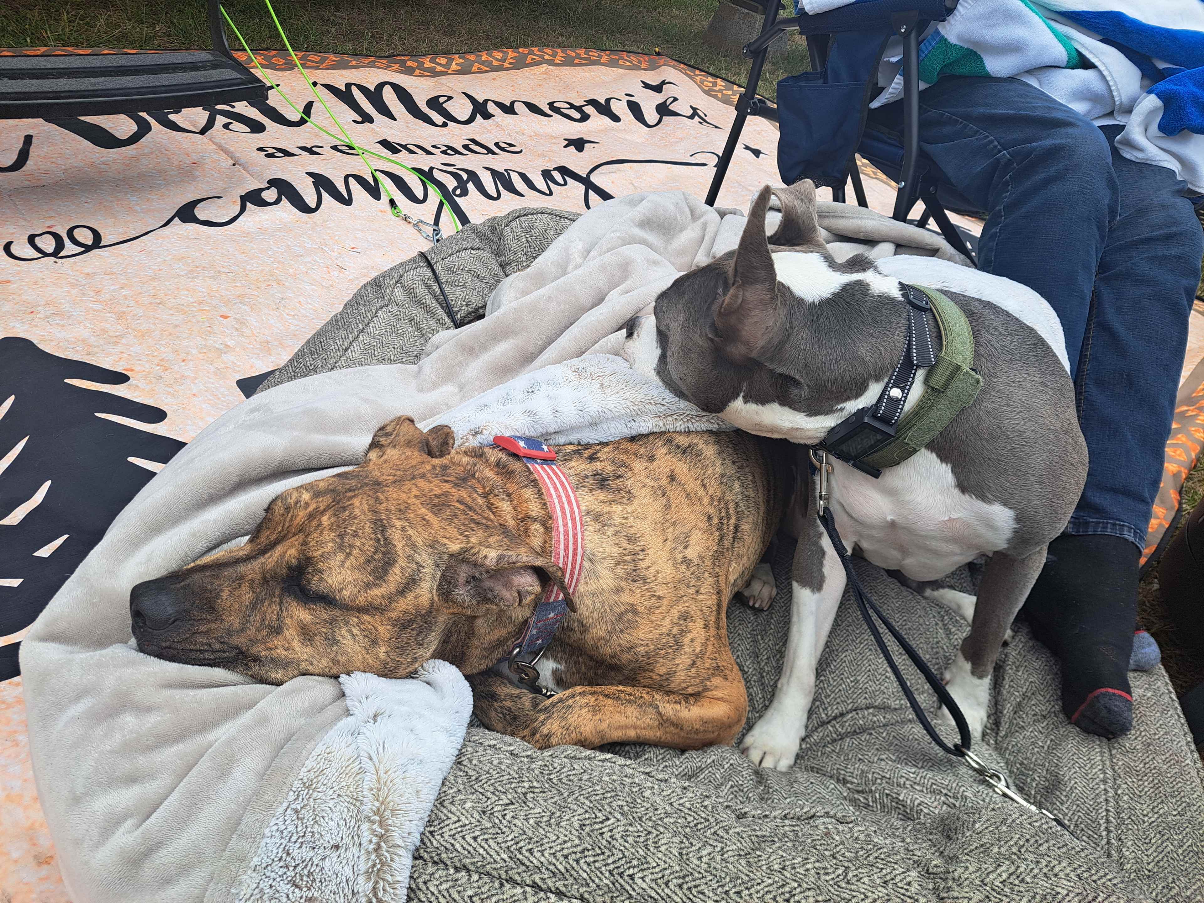 Shelter Cove Campground