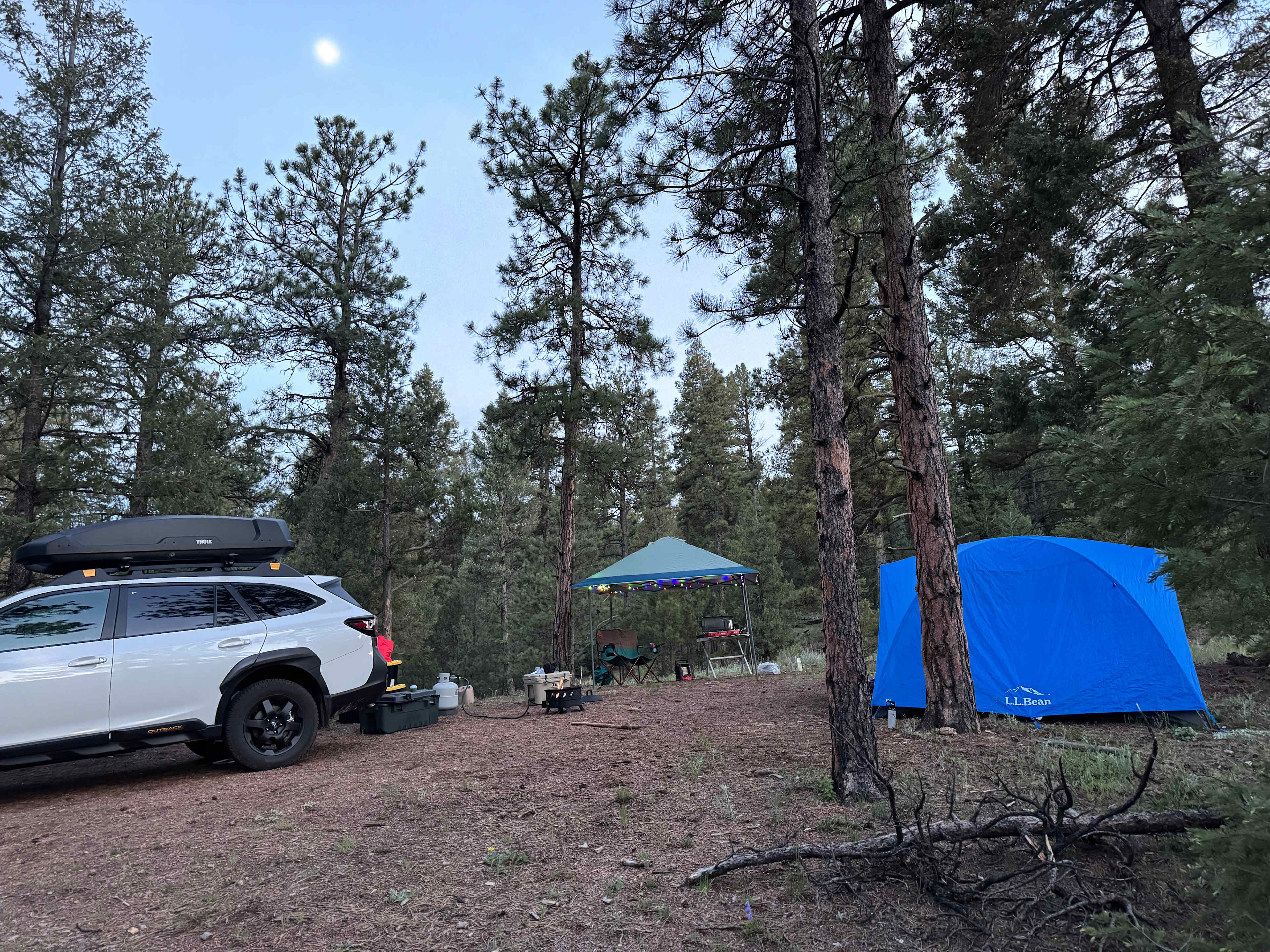 Serenity in the Foothills