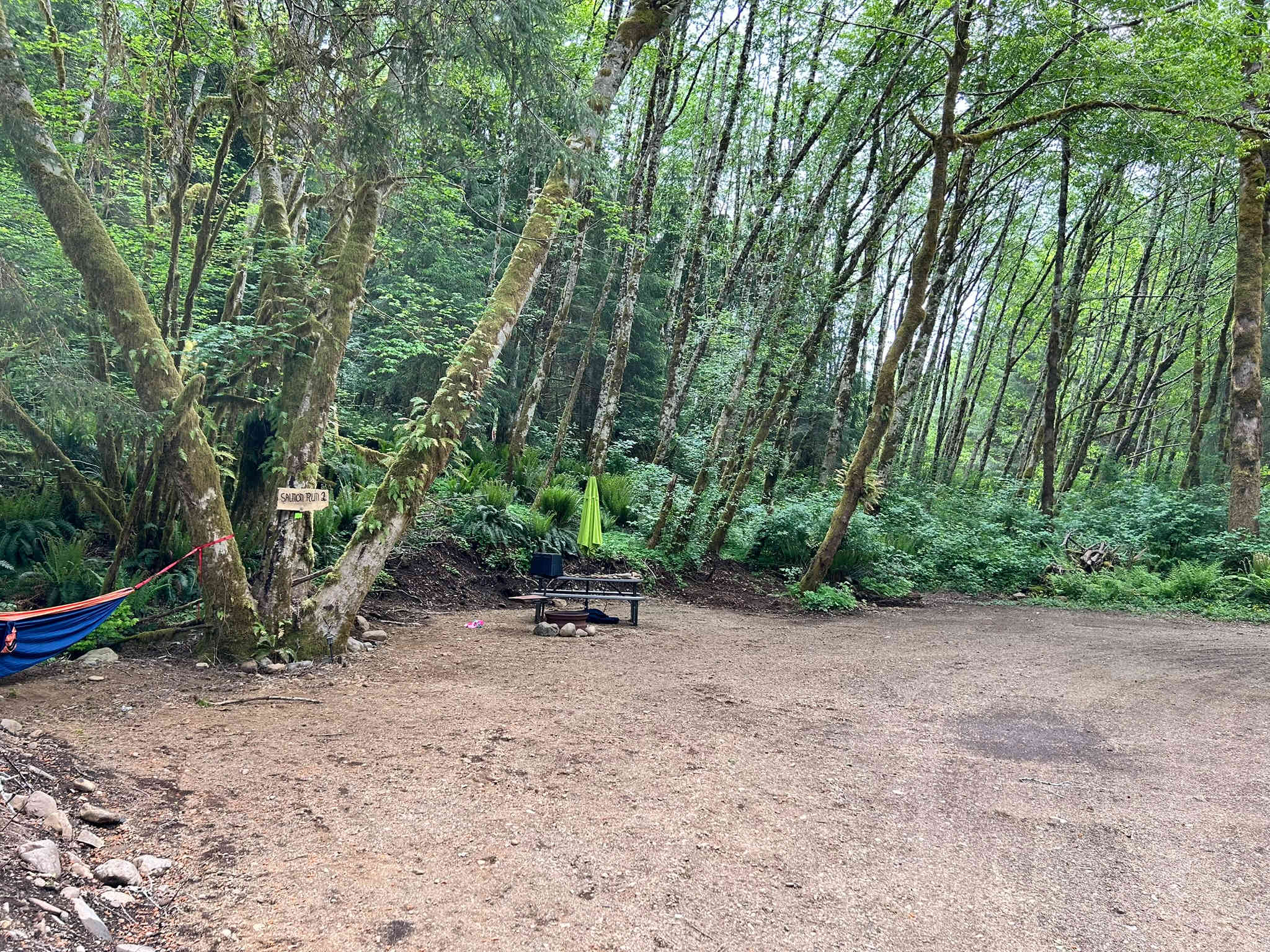 Dawleys SolDuc River Campground