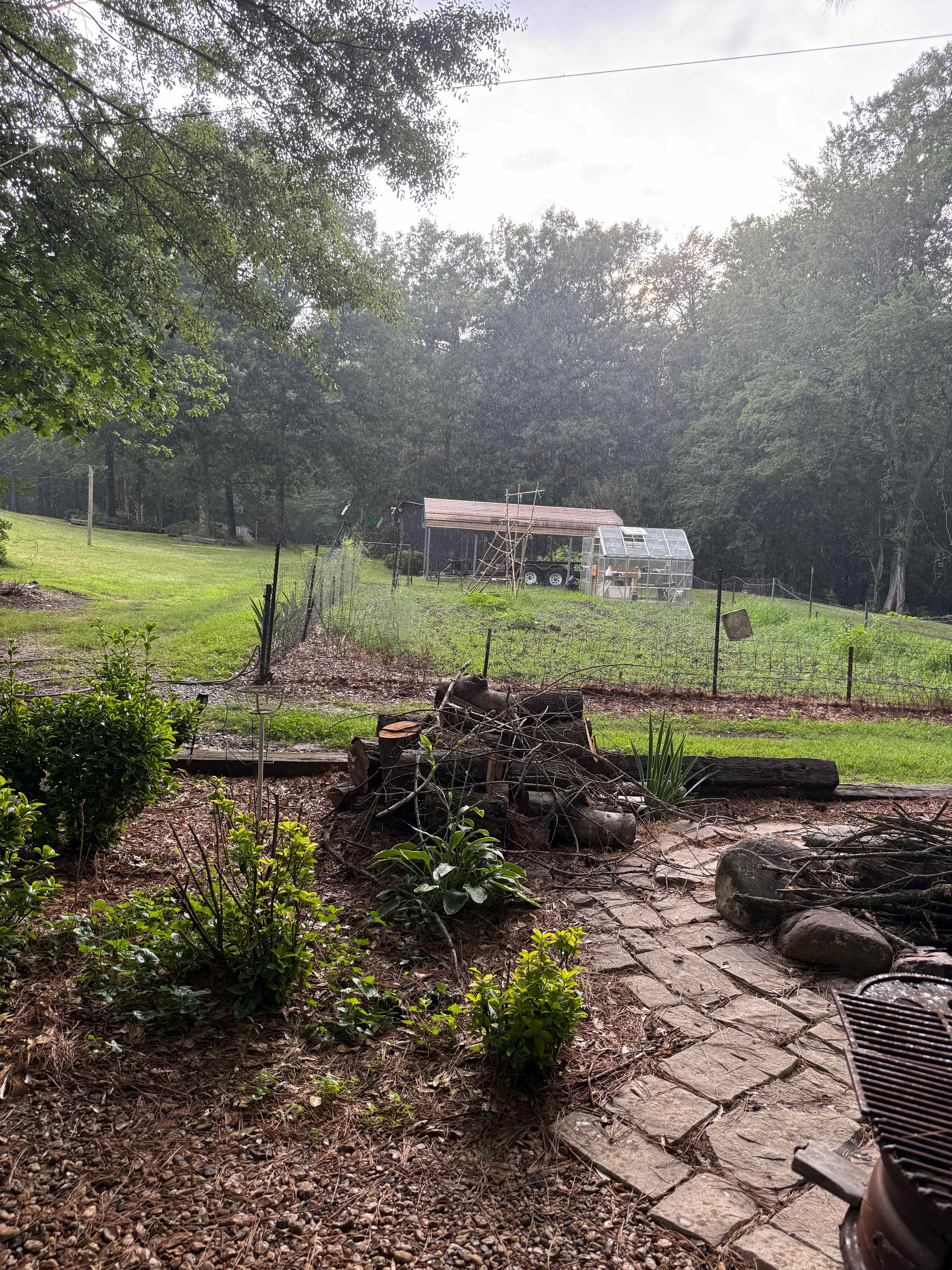 Fishers Pond at the Treehouse