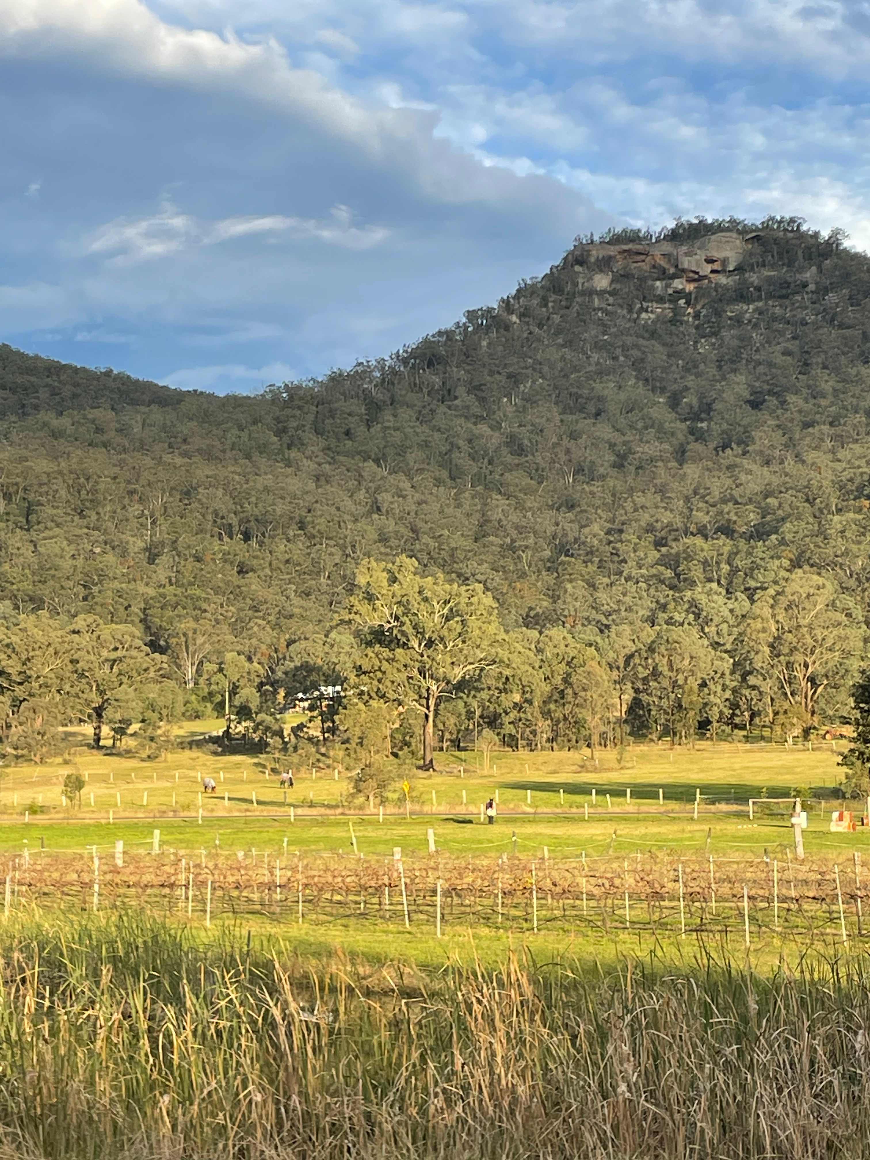 GREENWAY Wines by the Brook