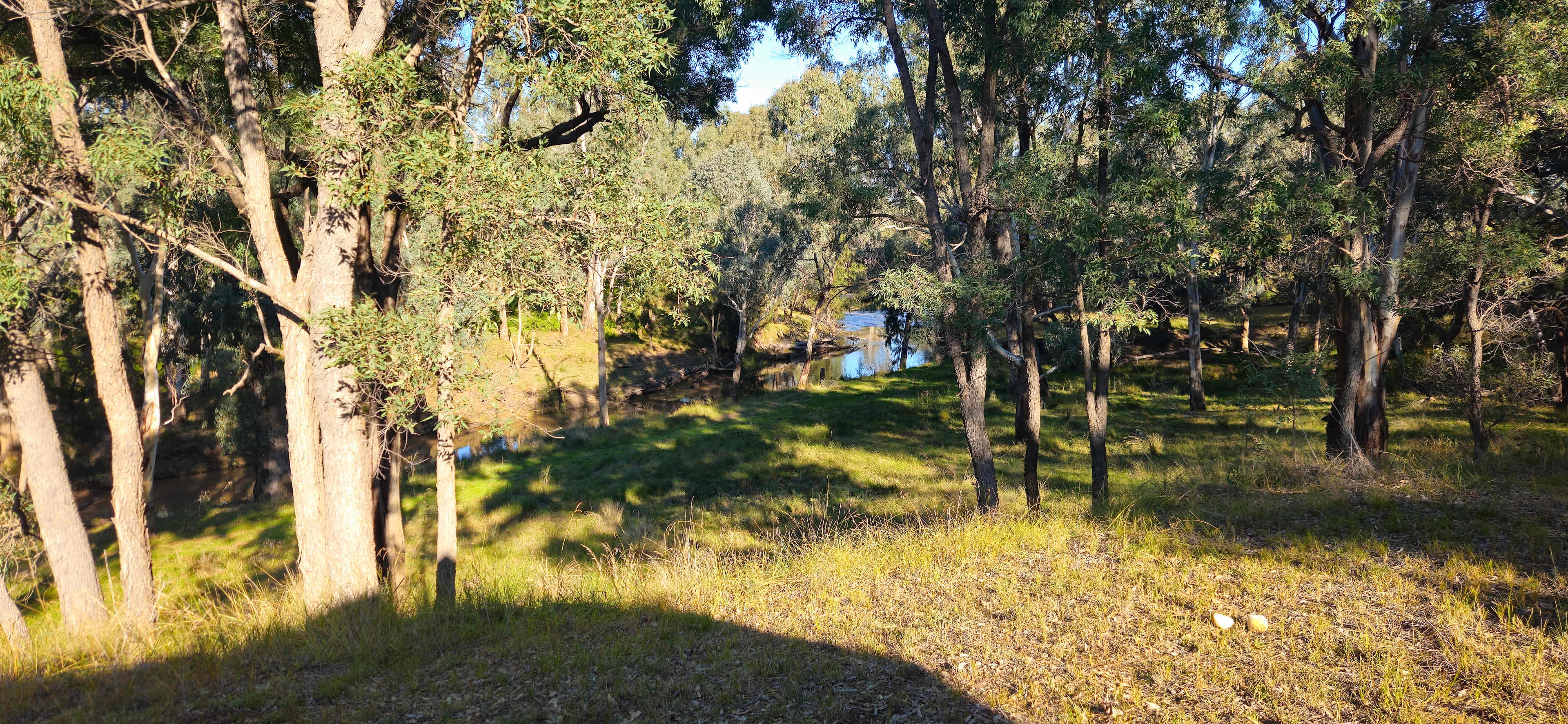 Cadagi Farm Stay in Central West NSW