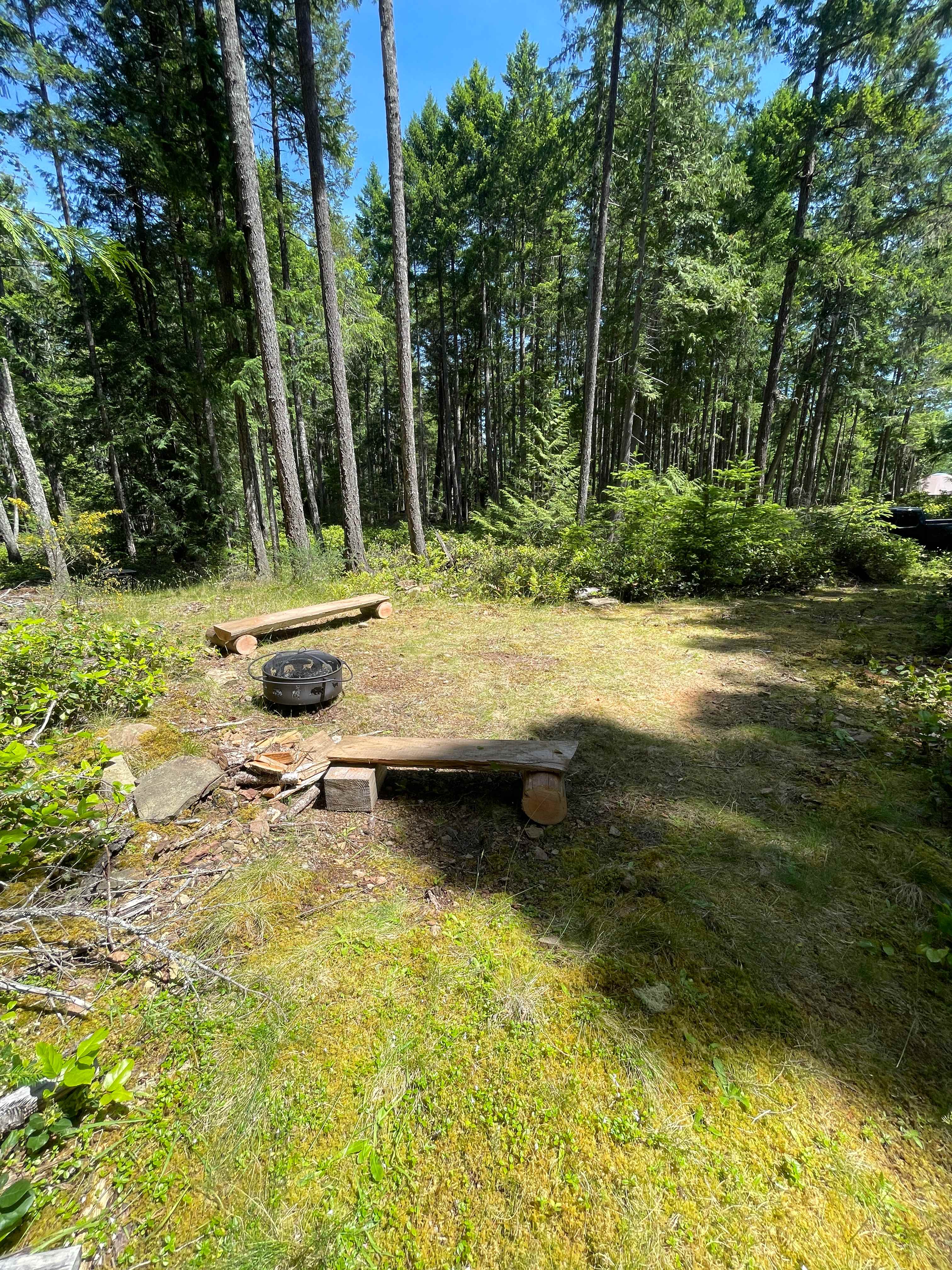 Forest Camping & Private Yurt