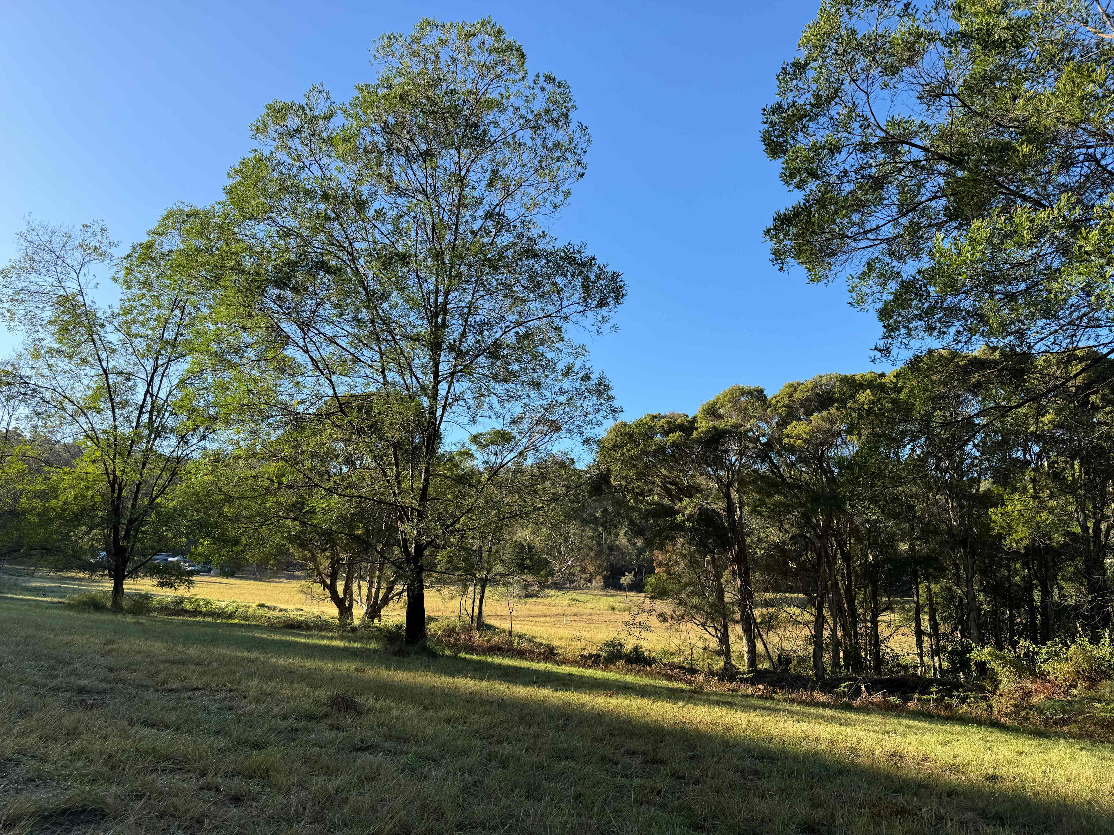 Bullridge Farm-Secluded & Uncrowded