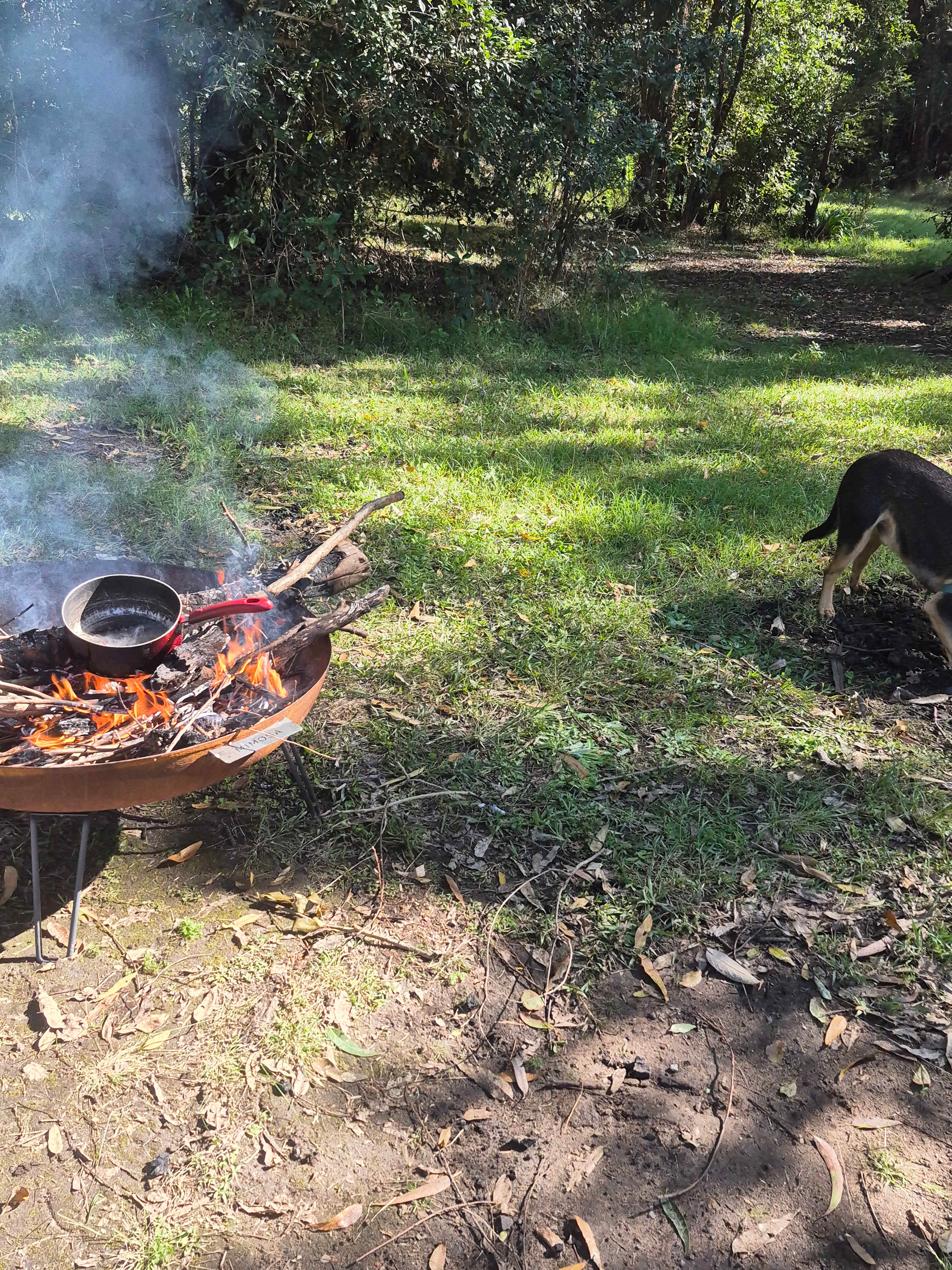 Bunyip's Camp