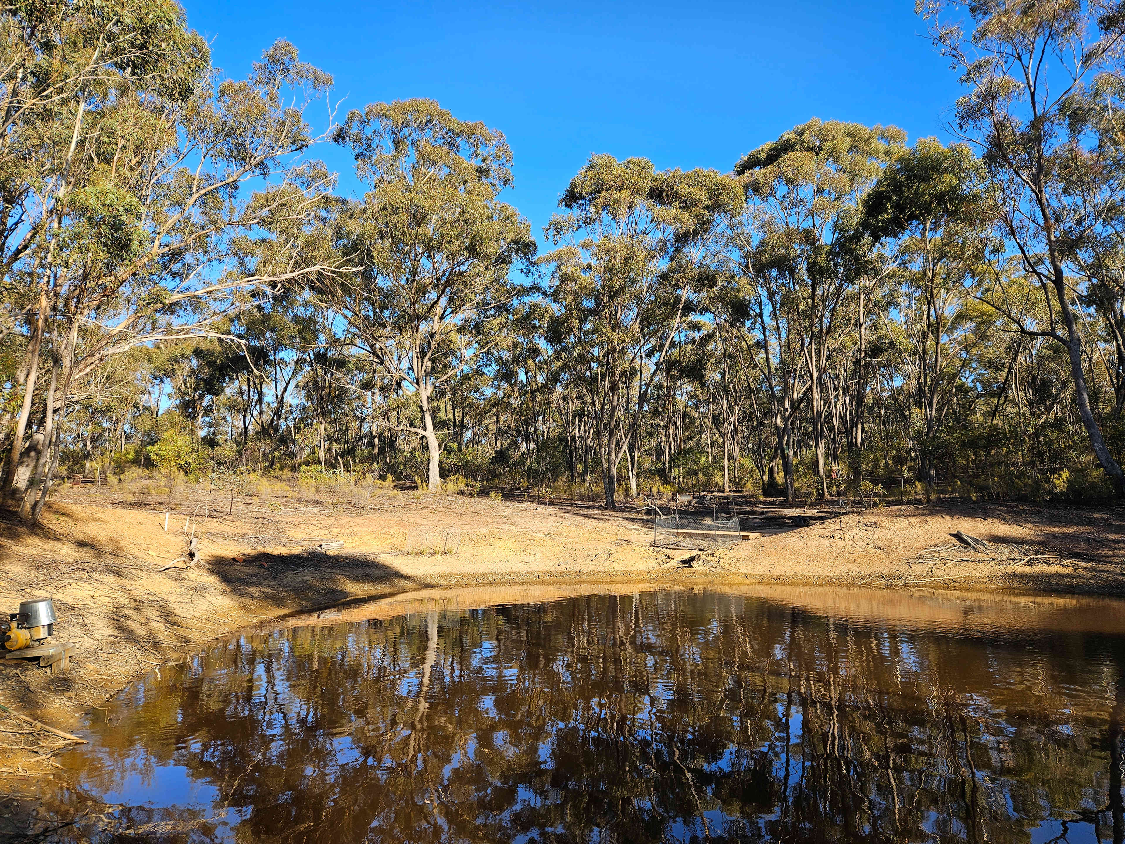 Hut Amongst The Gum Trees