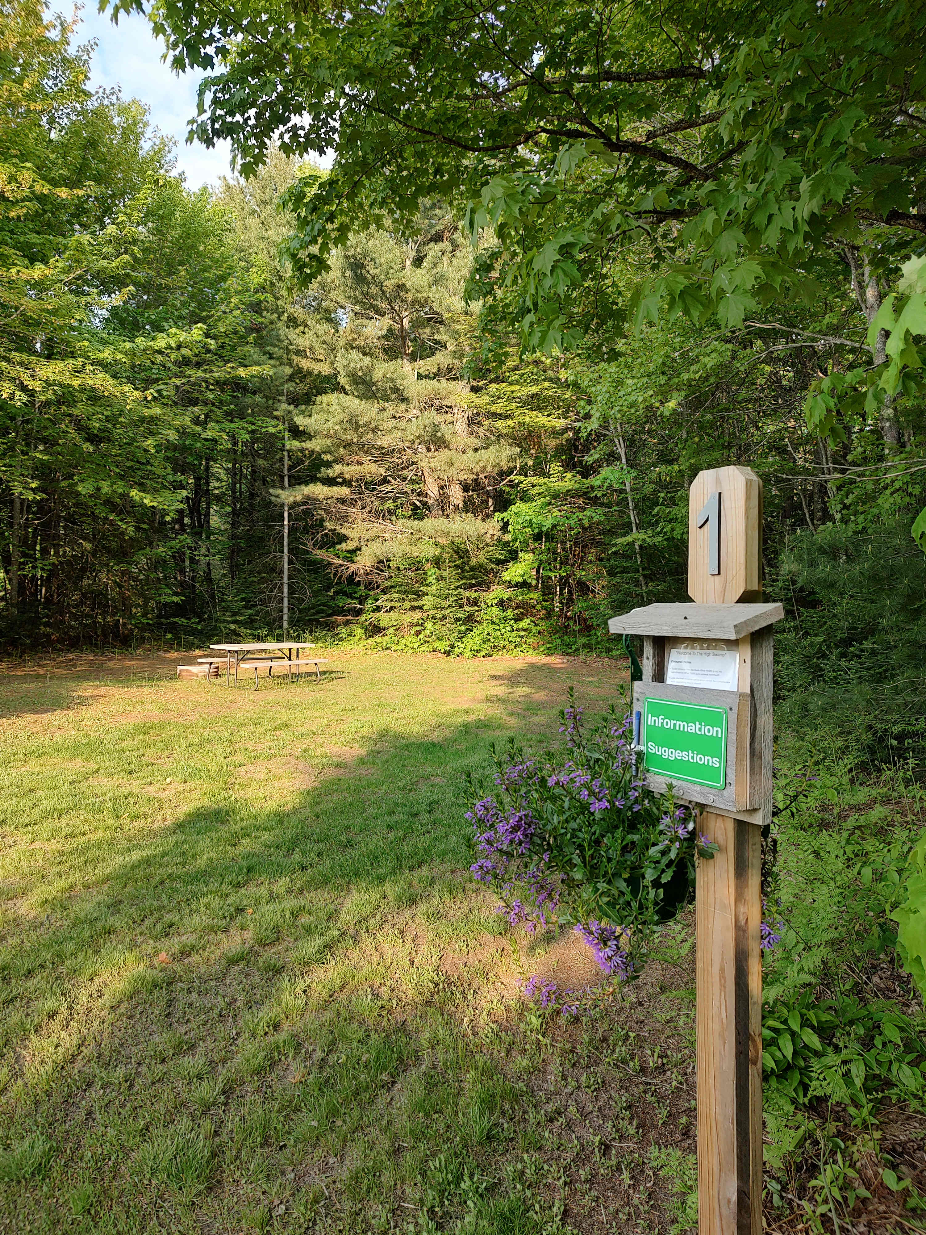 High Swamp Camp