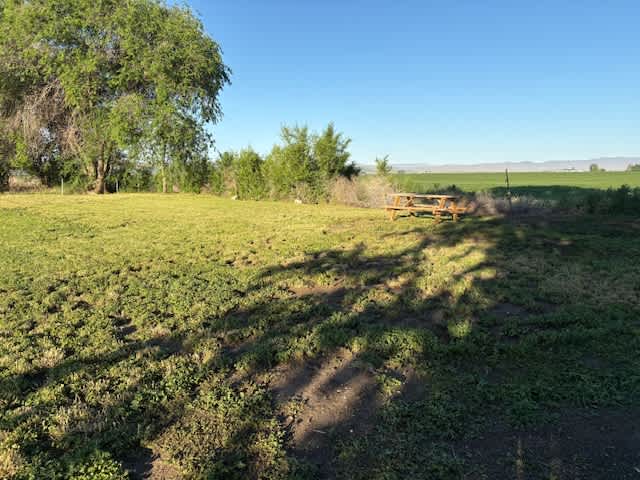 Fat Pony Farm