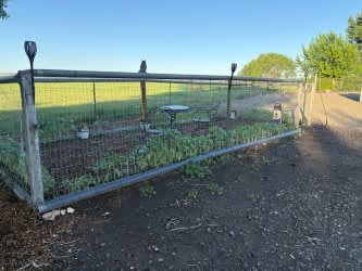 Fat Pony Farm