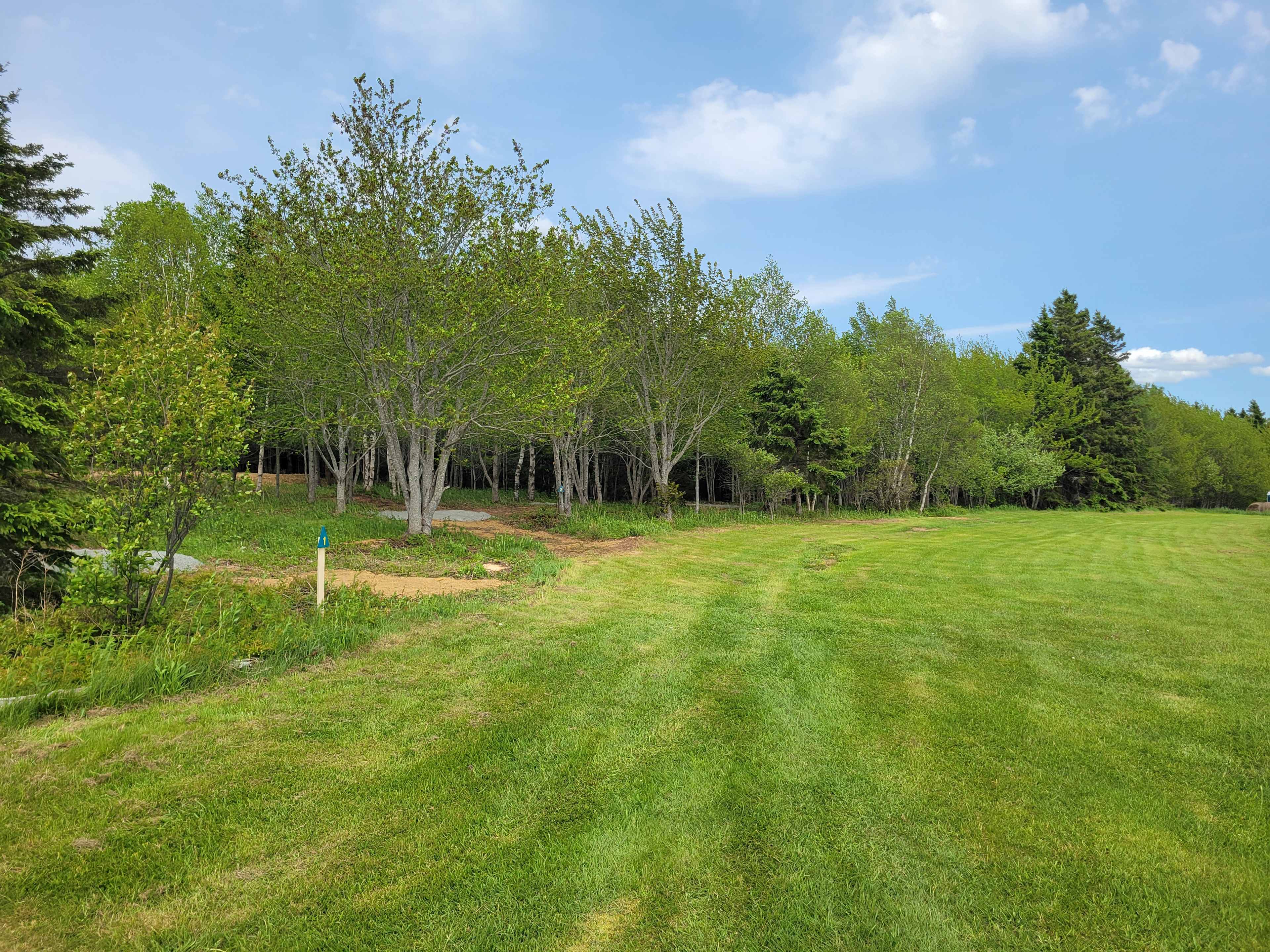 Location of the 5 woodland camp sites.  Campsite 1 is the nearest campsite in this photo.