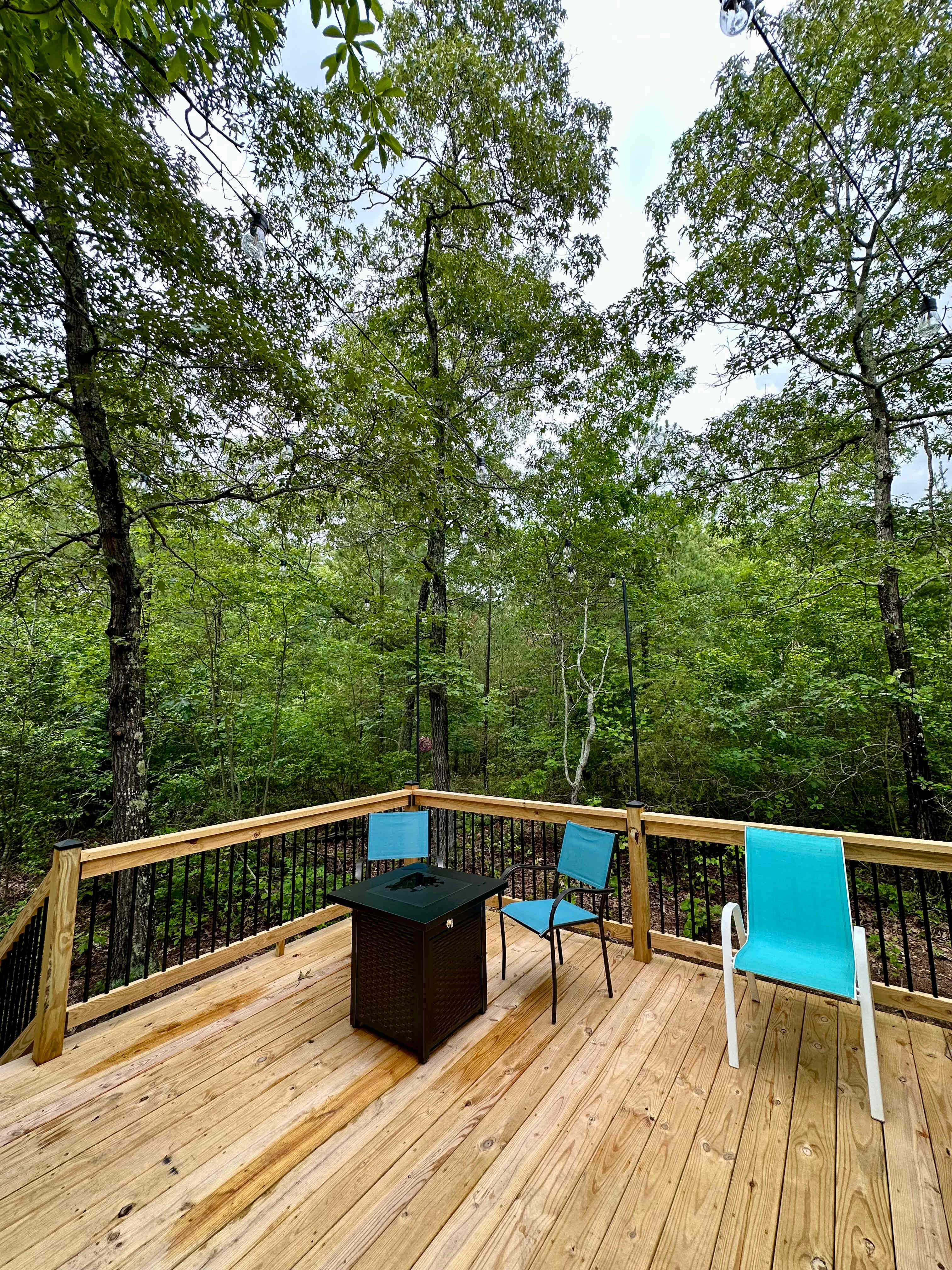 Tiny House on a Forest Homestead