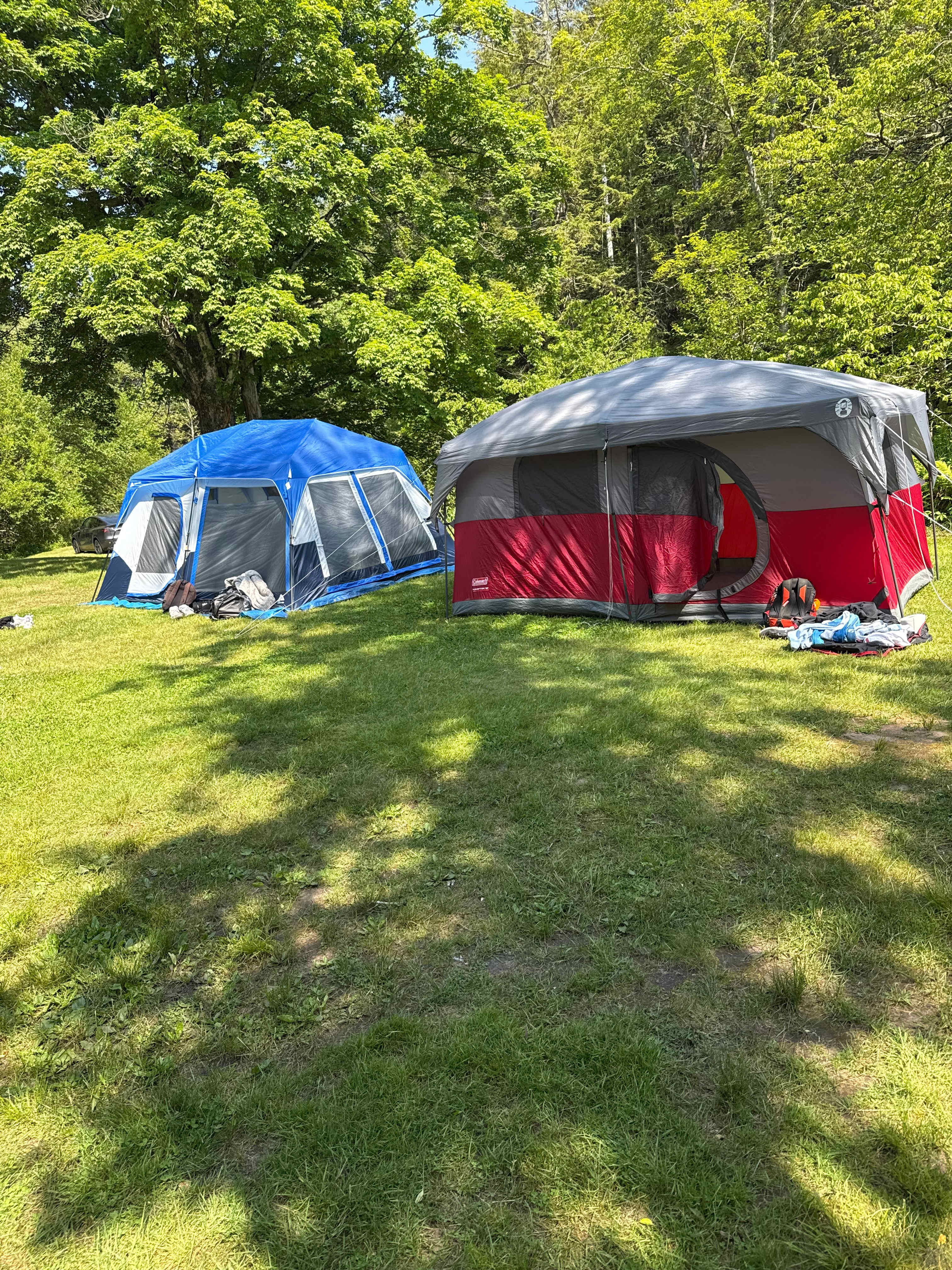 The Neversink River Isle