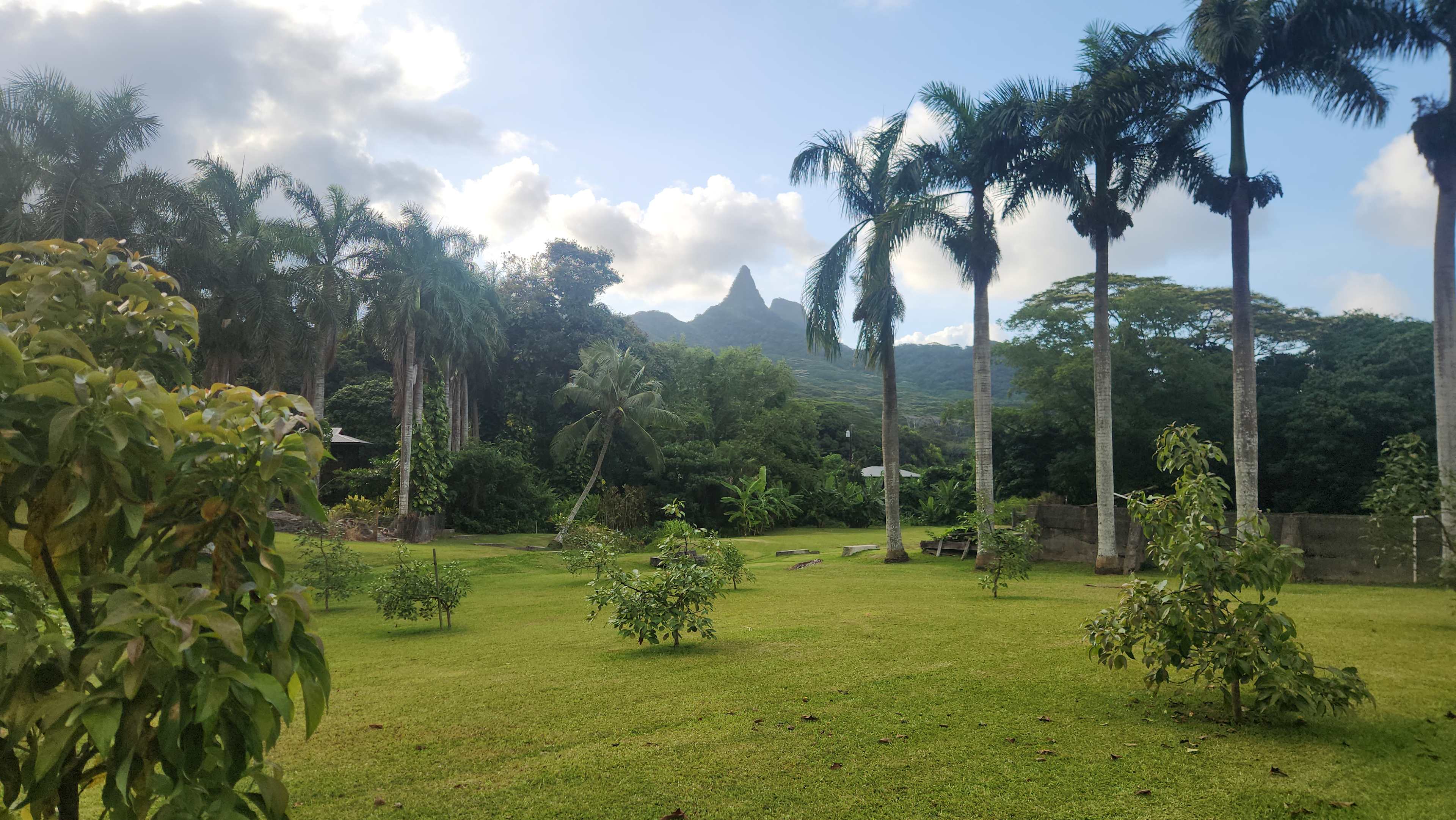 Waimanalo Farmstay