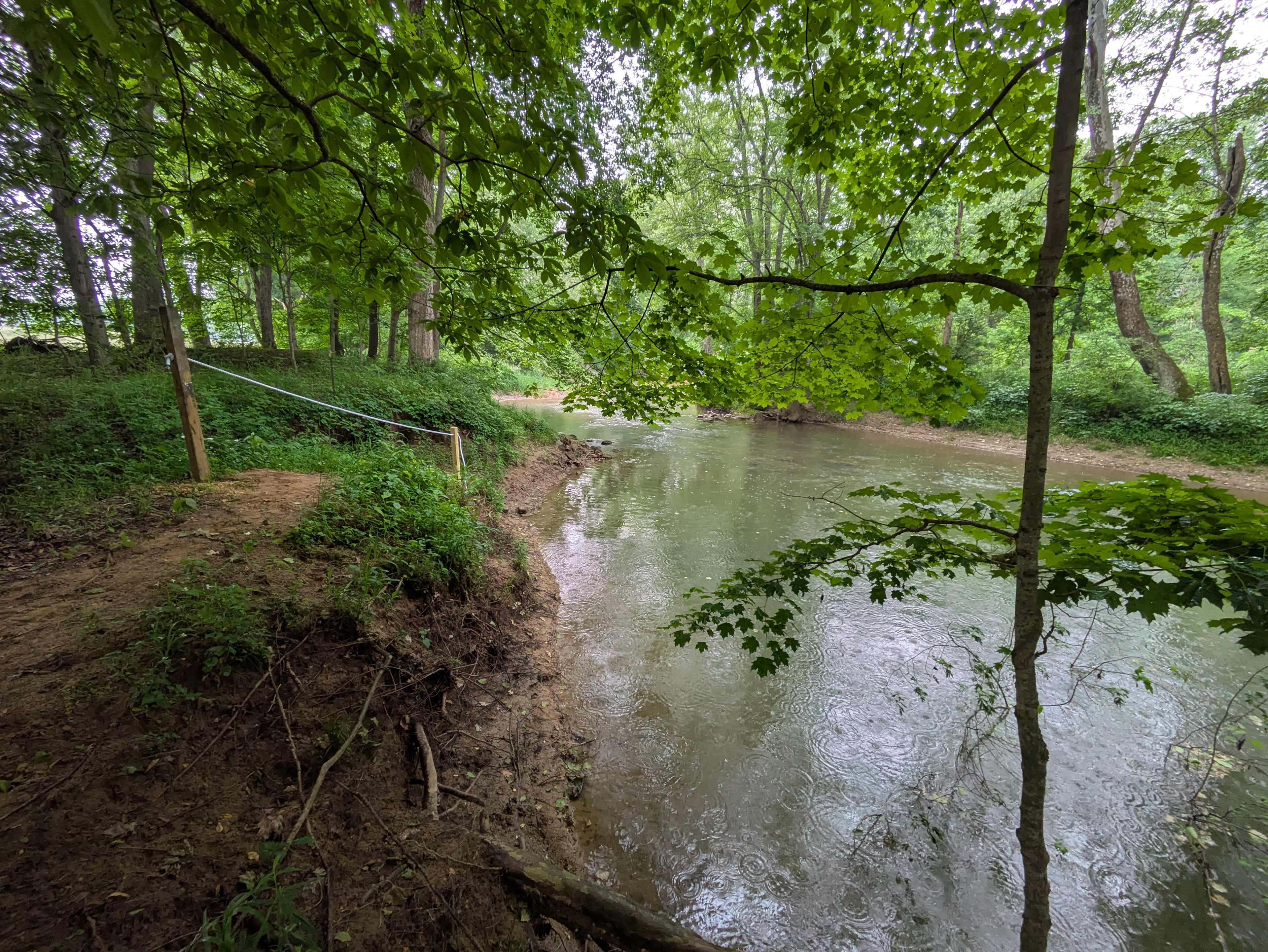 Riverside Camp & Swim