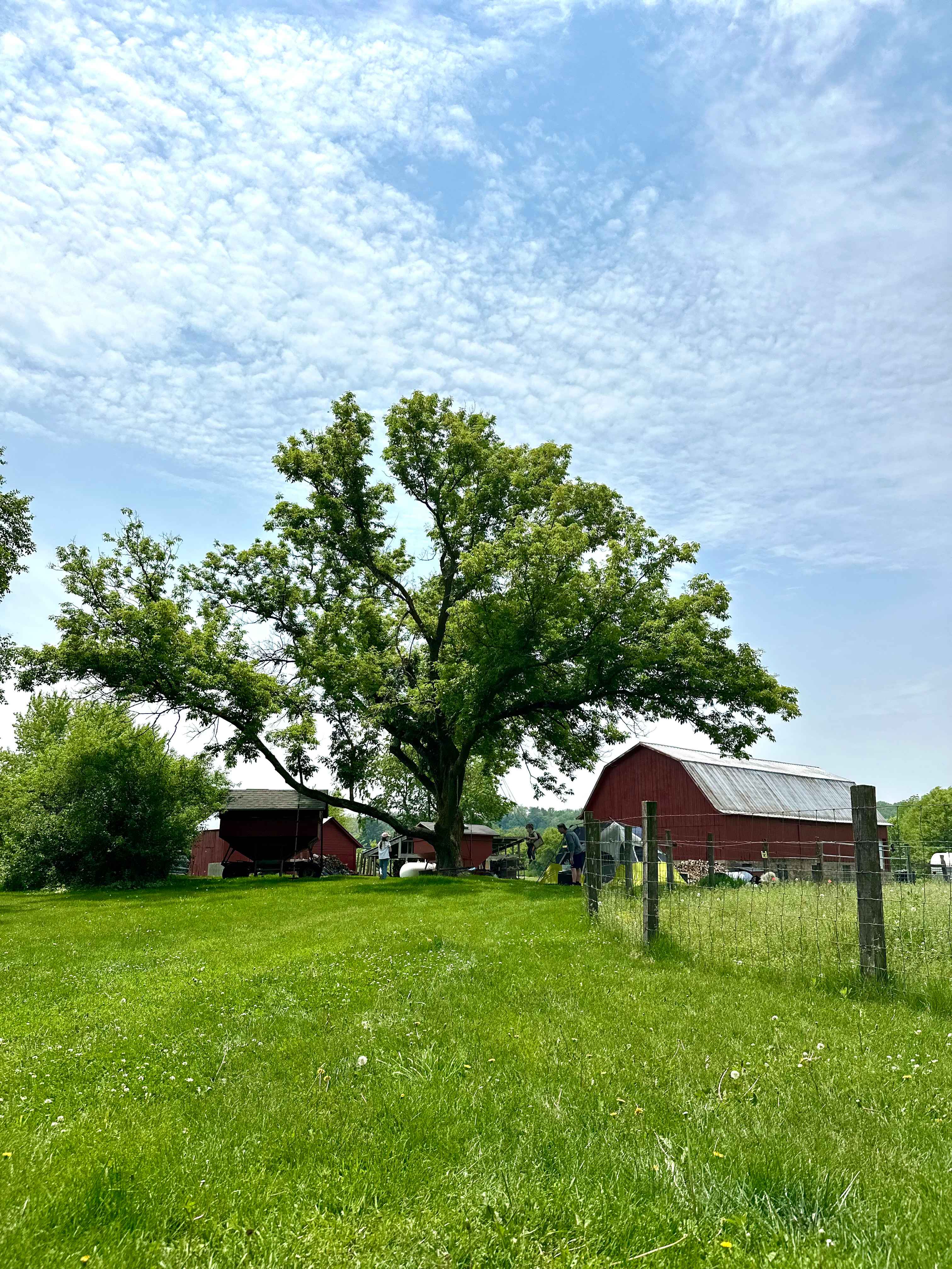 Circle M Farm Stay: Camp or Glamp