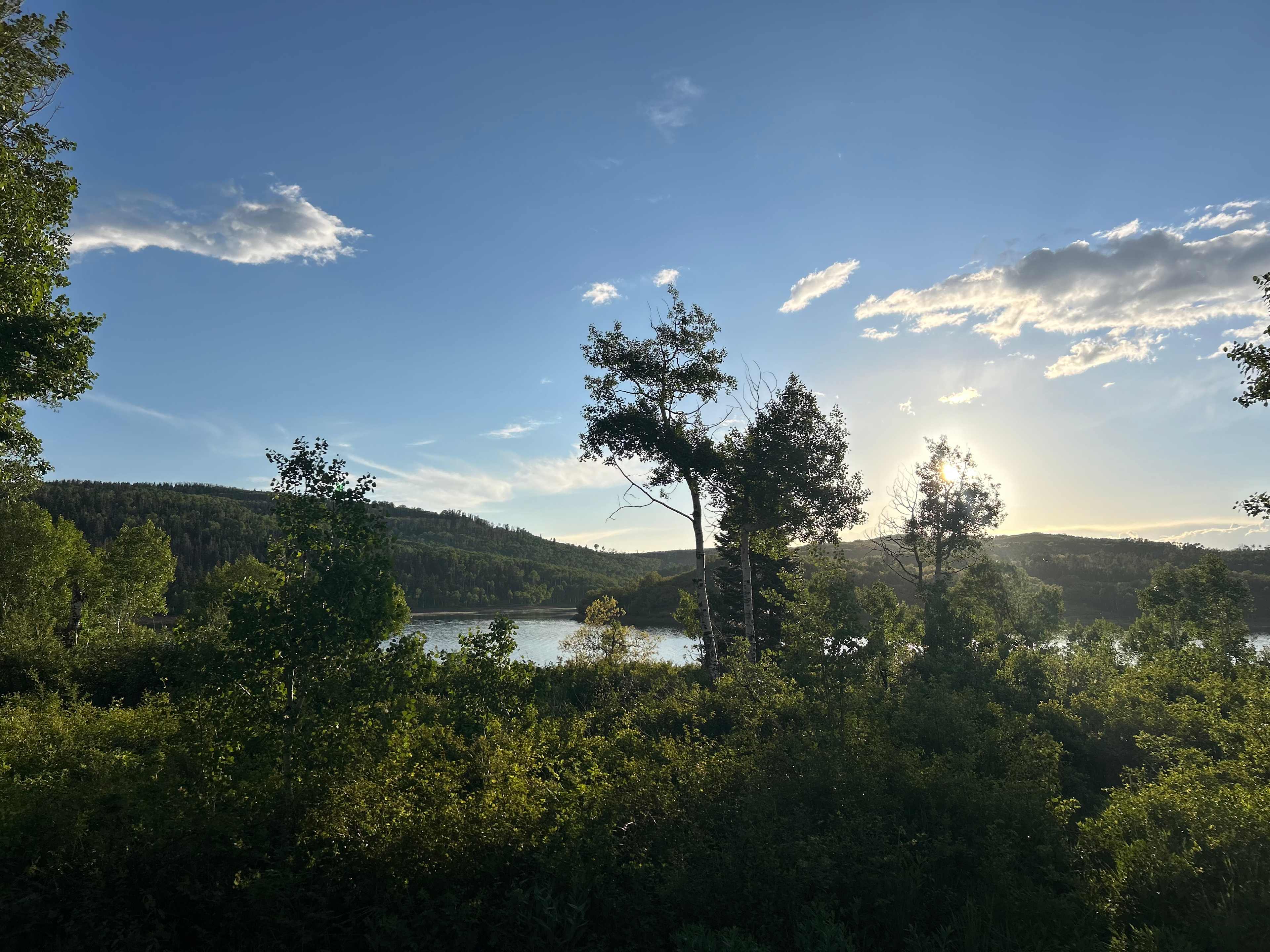 View from site #5