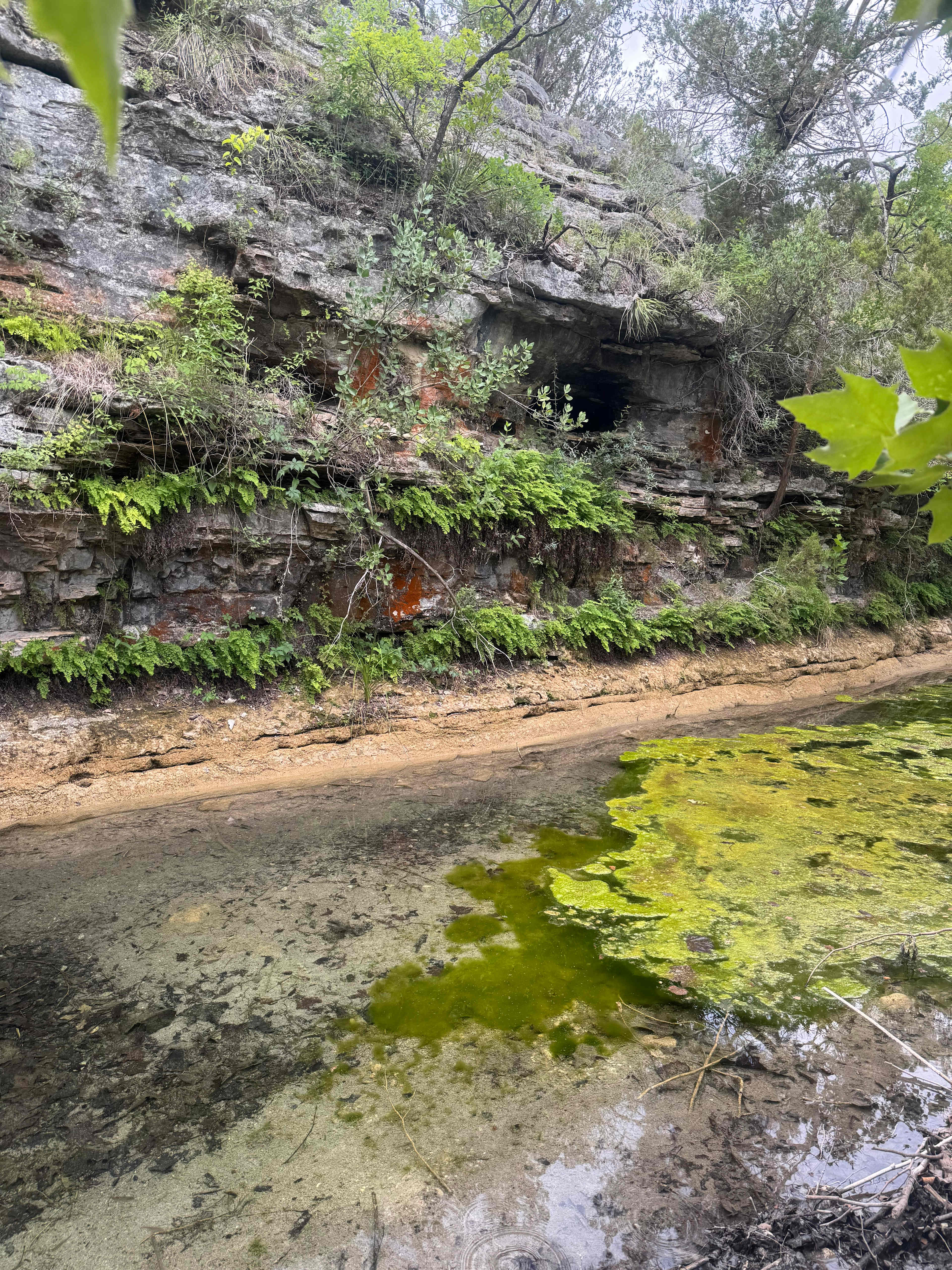 Grapevine Springs Retreat 