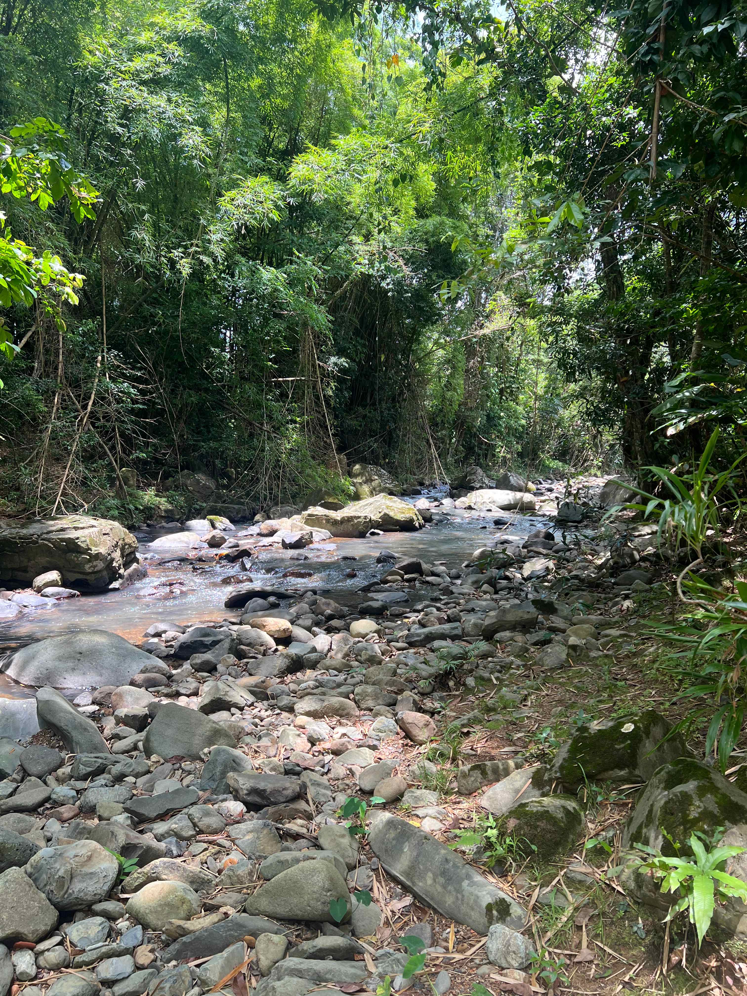 Hacienda Monte Rey near El Yunque