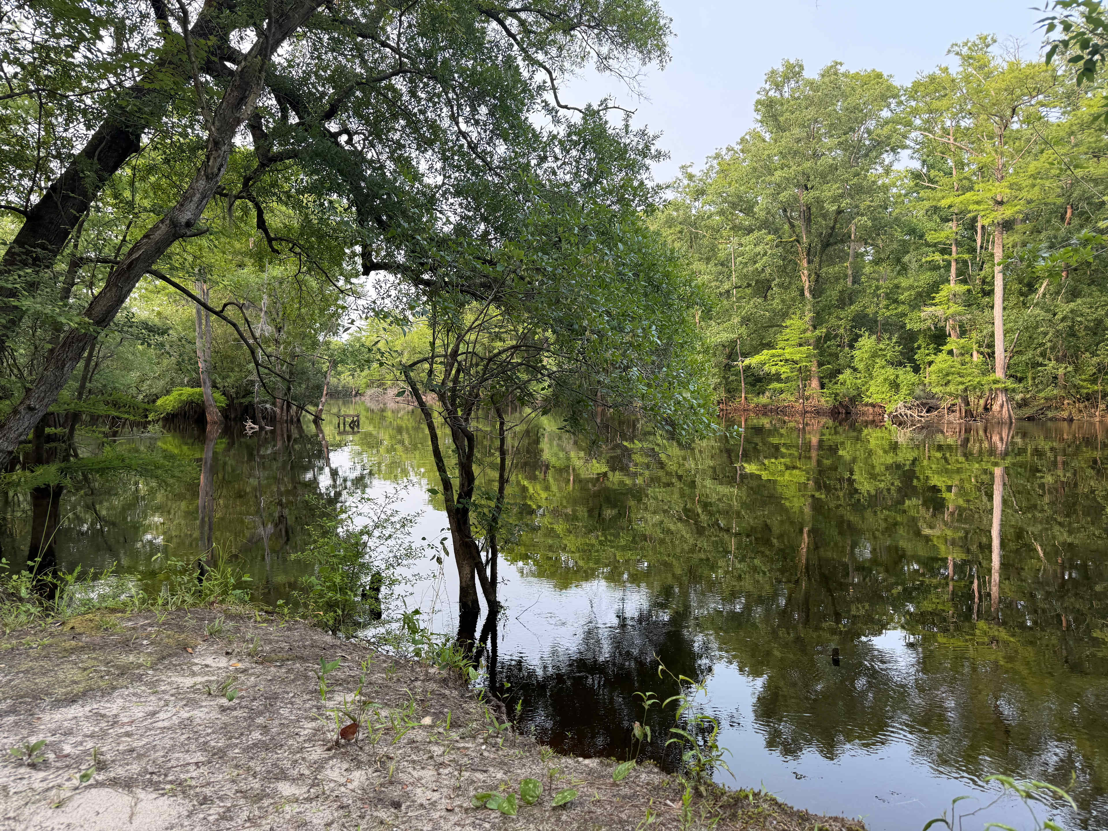 Black River Camping Ventures