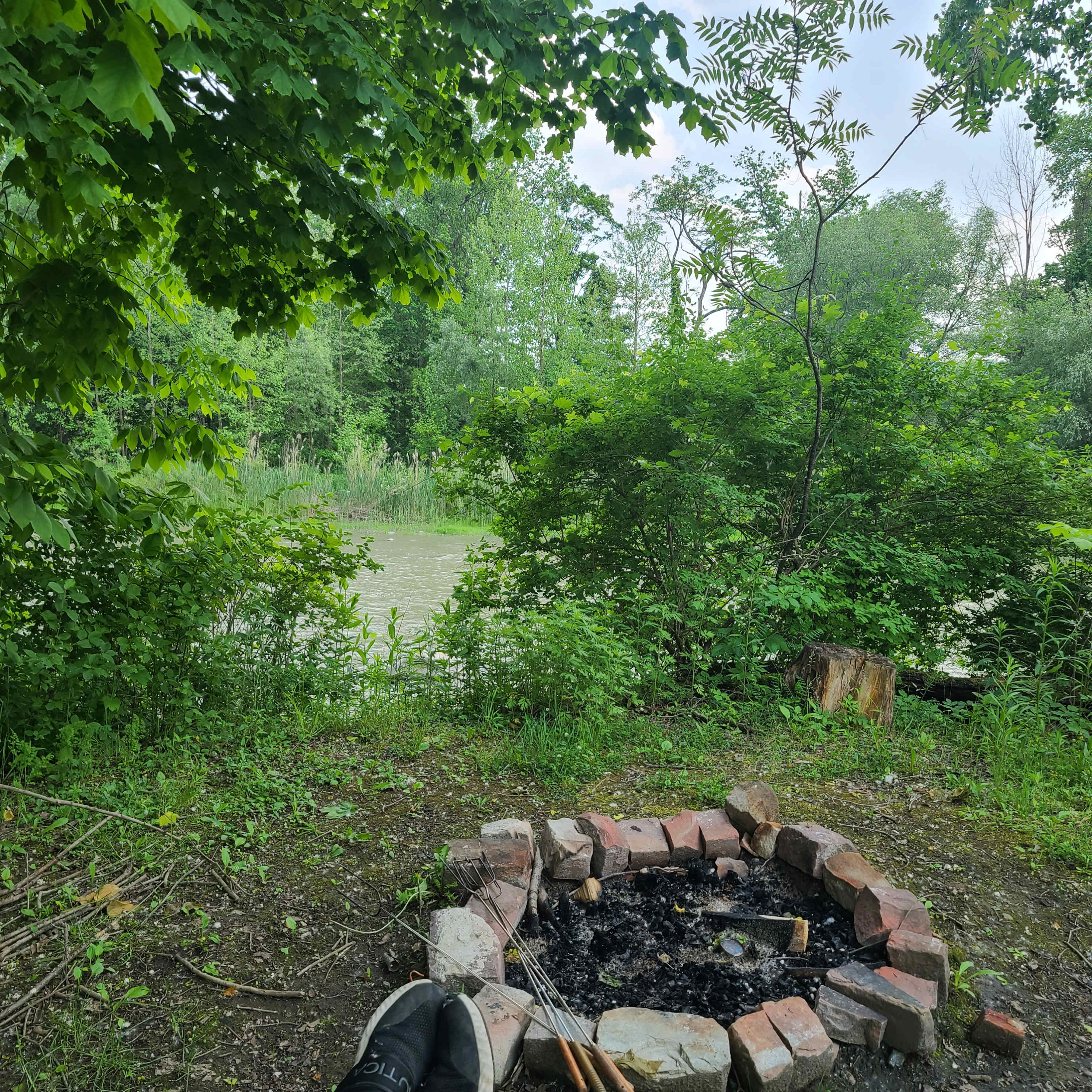 View of stream
