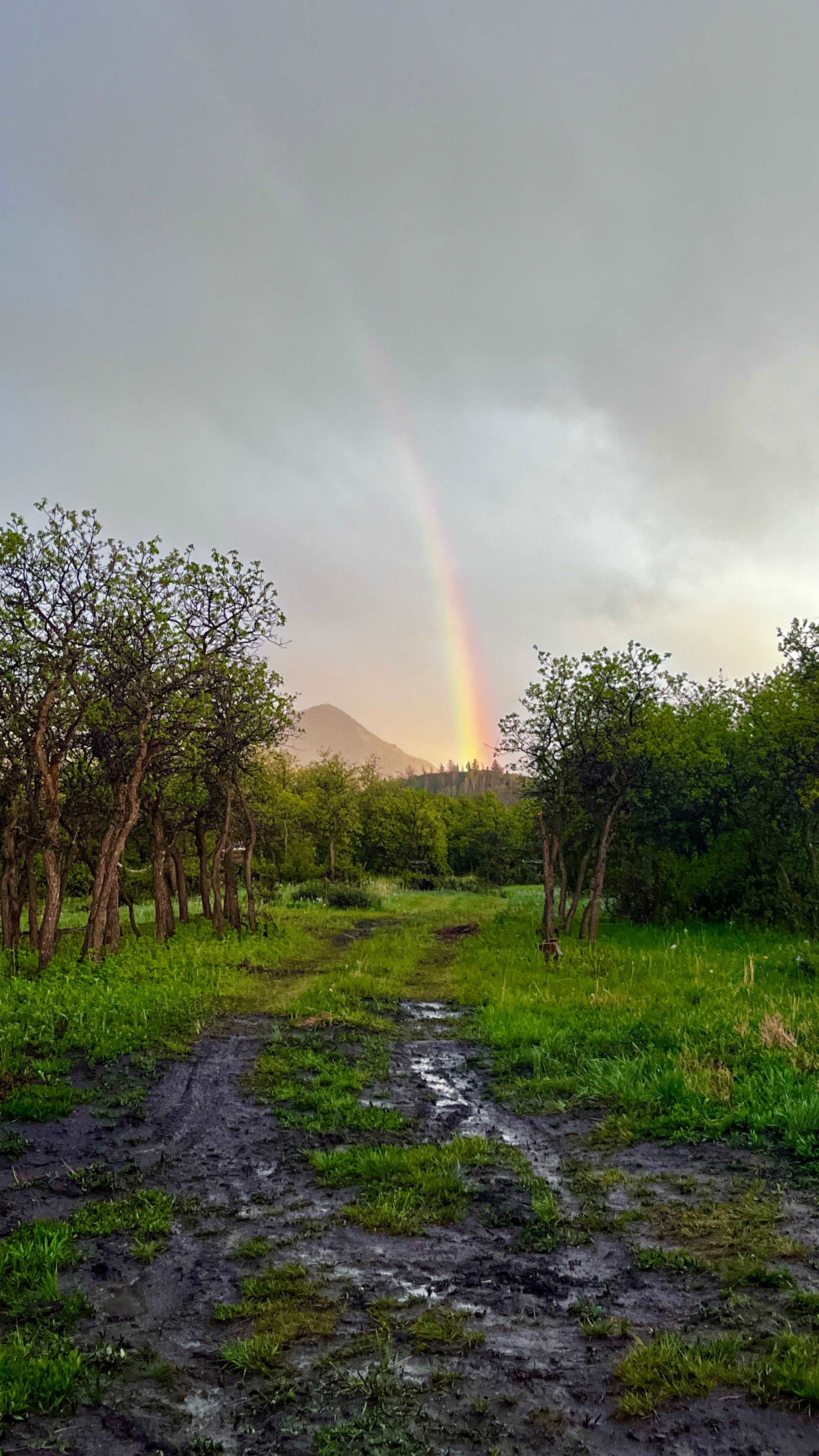 Hartwork Ranch