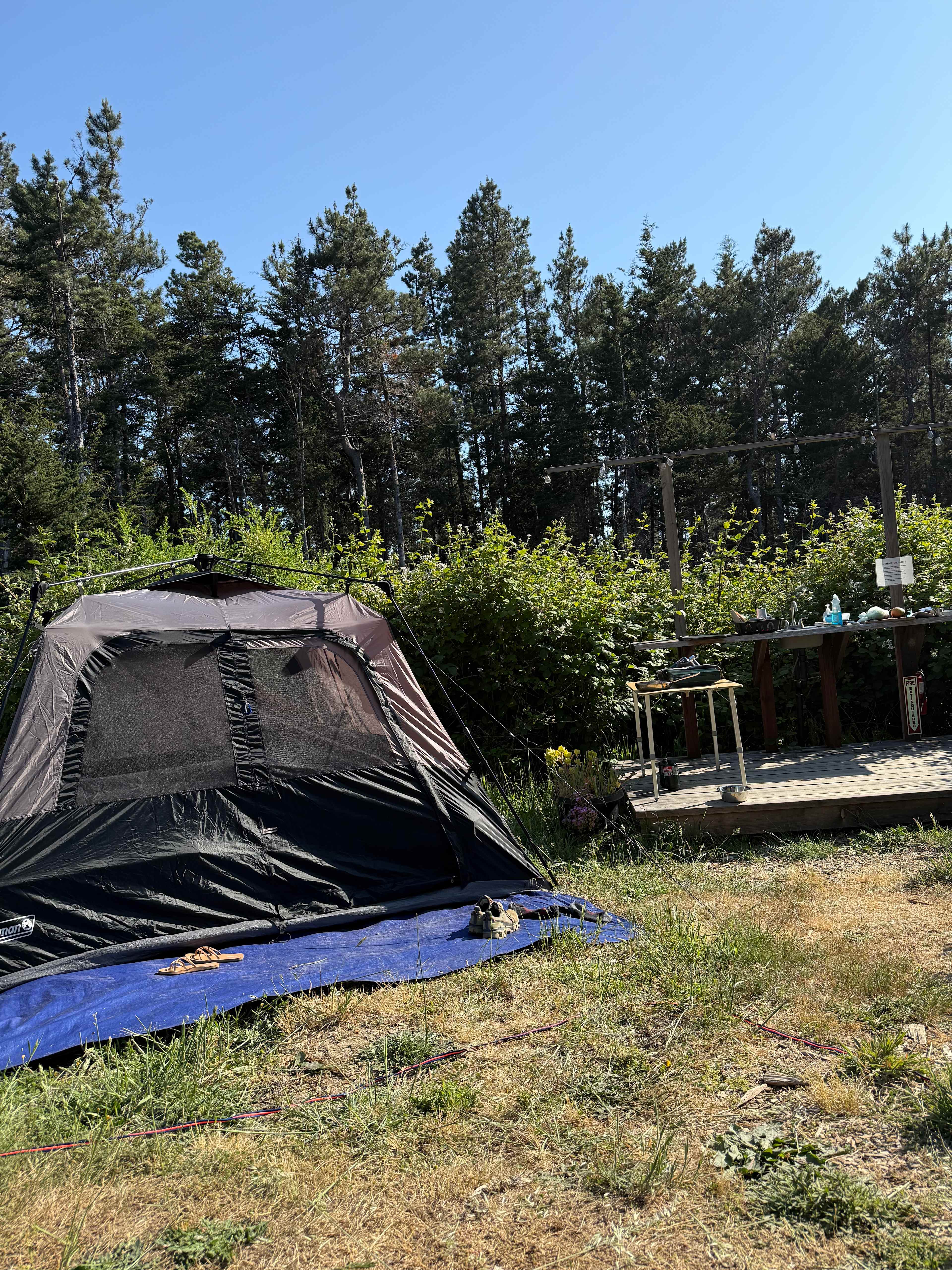 Stargazer tent site (1/2)