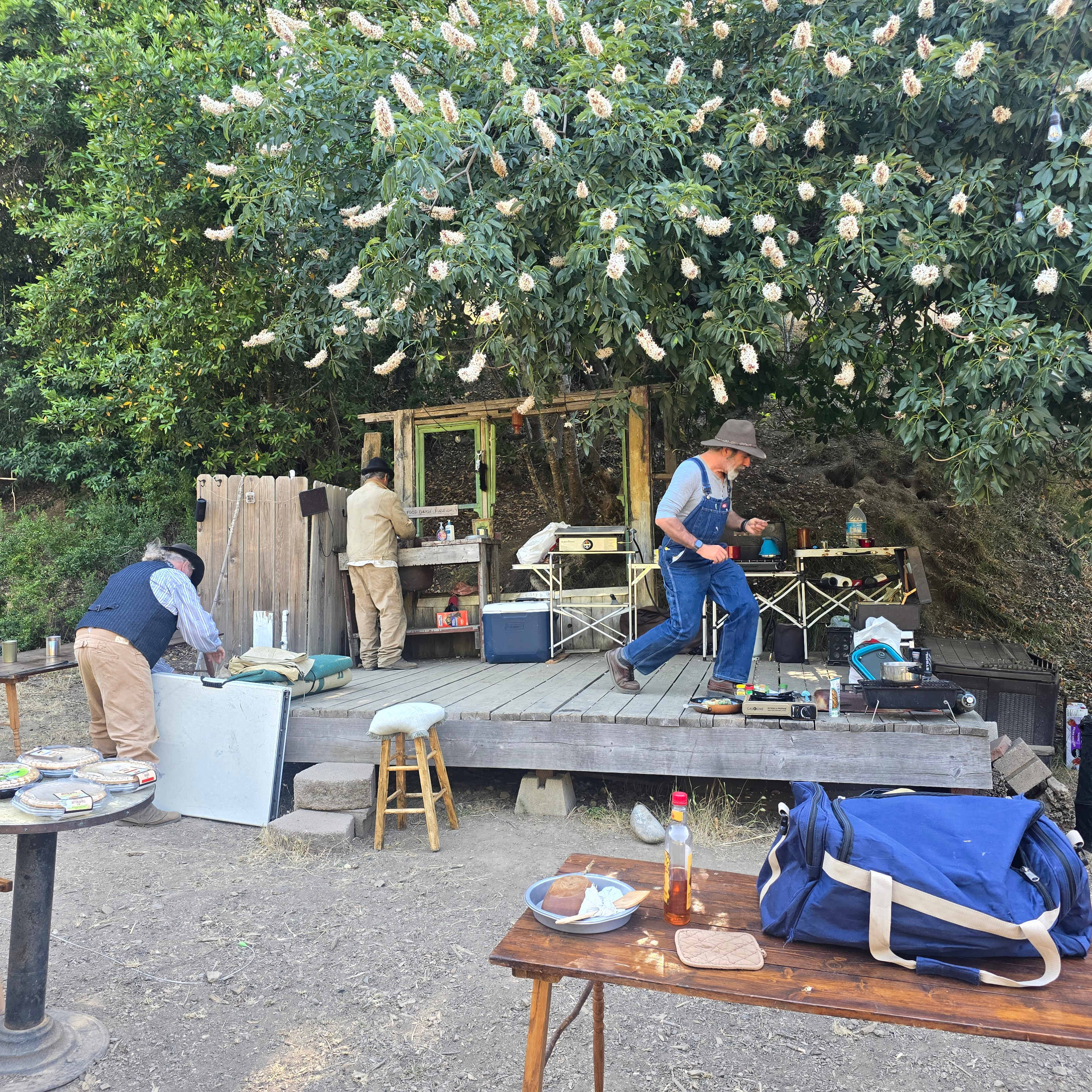 The Olive Farm