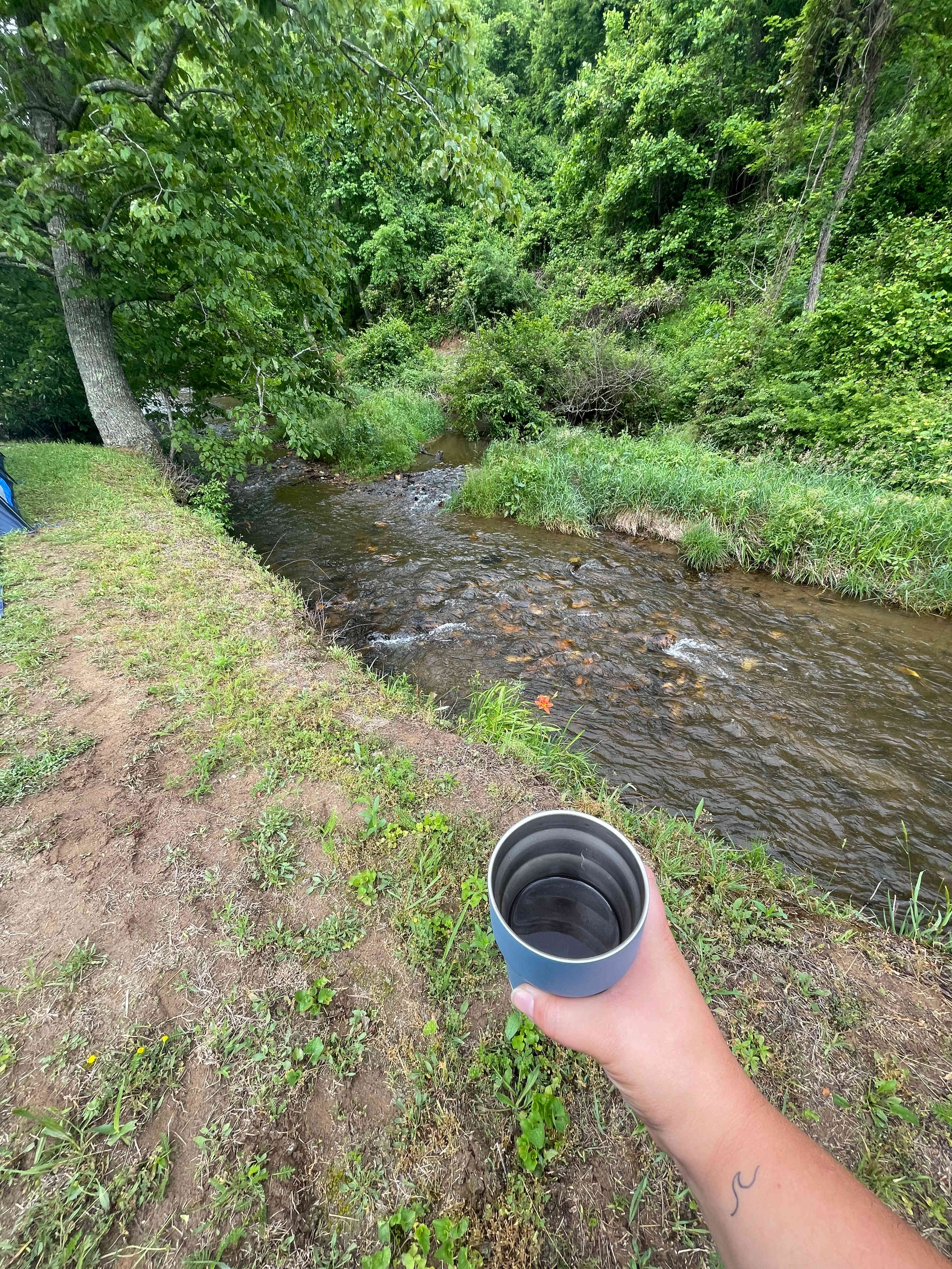 Creekside campsites